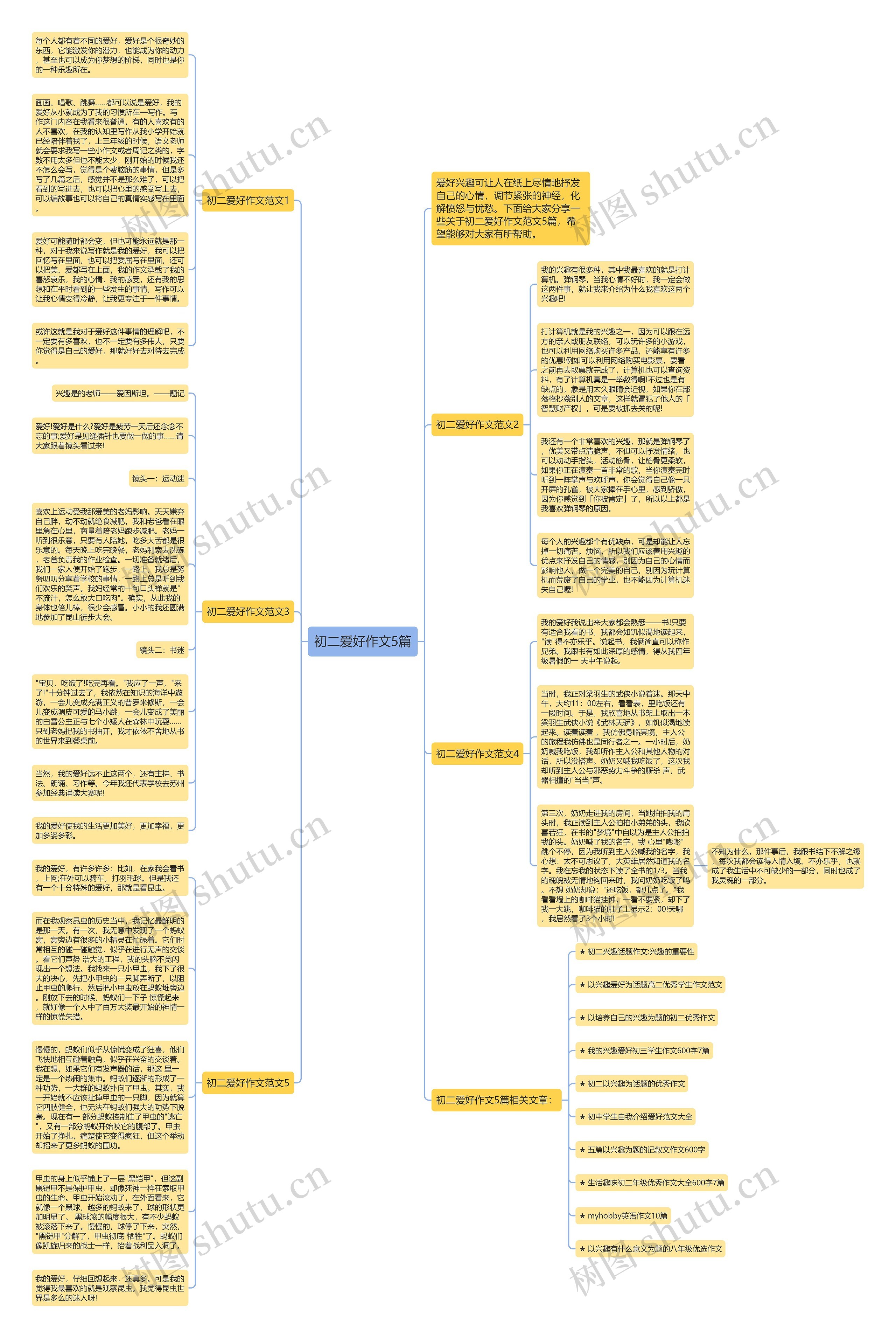 初二爱好作文5篇思维导图