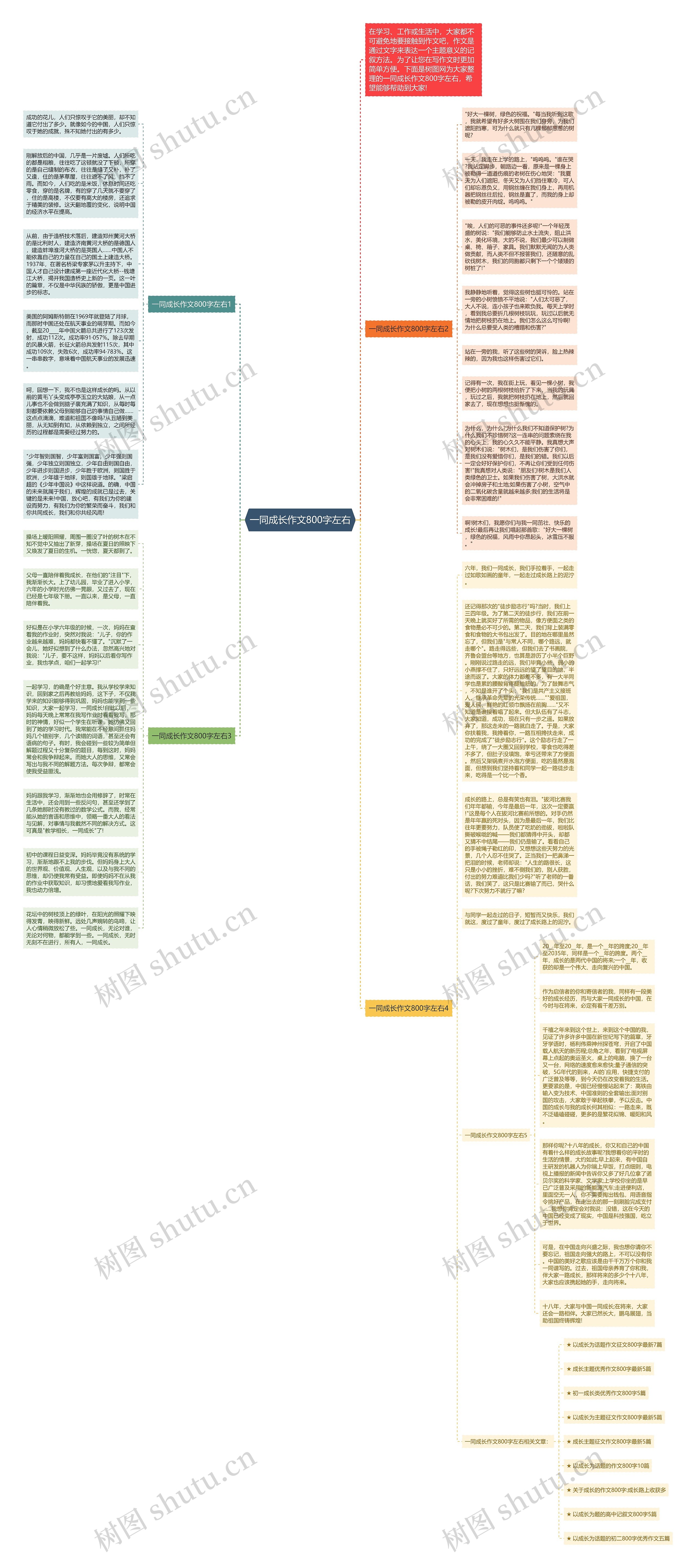 一同成长作文800字左右思维导图