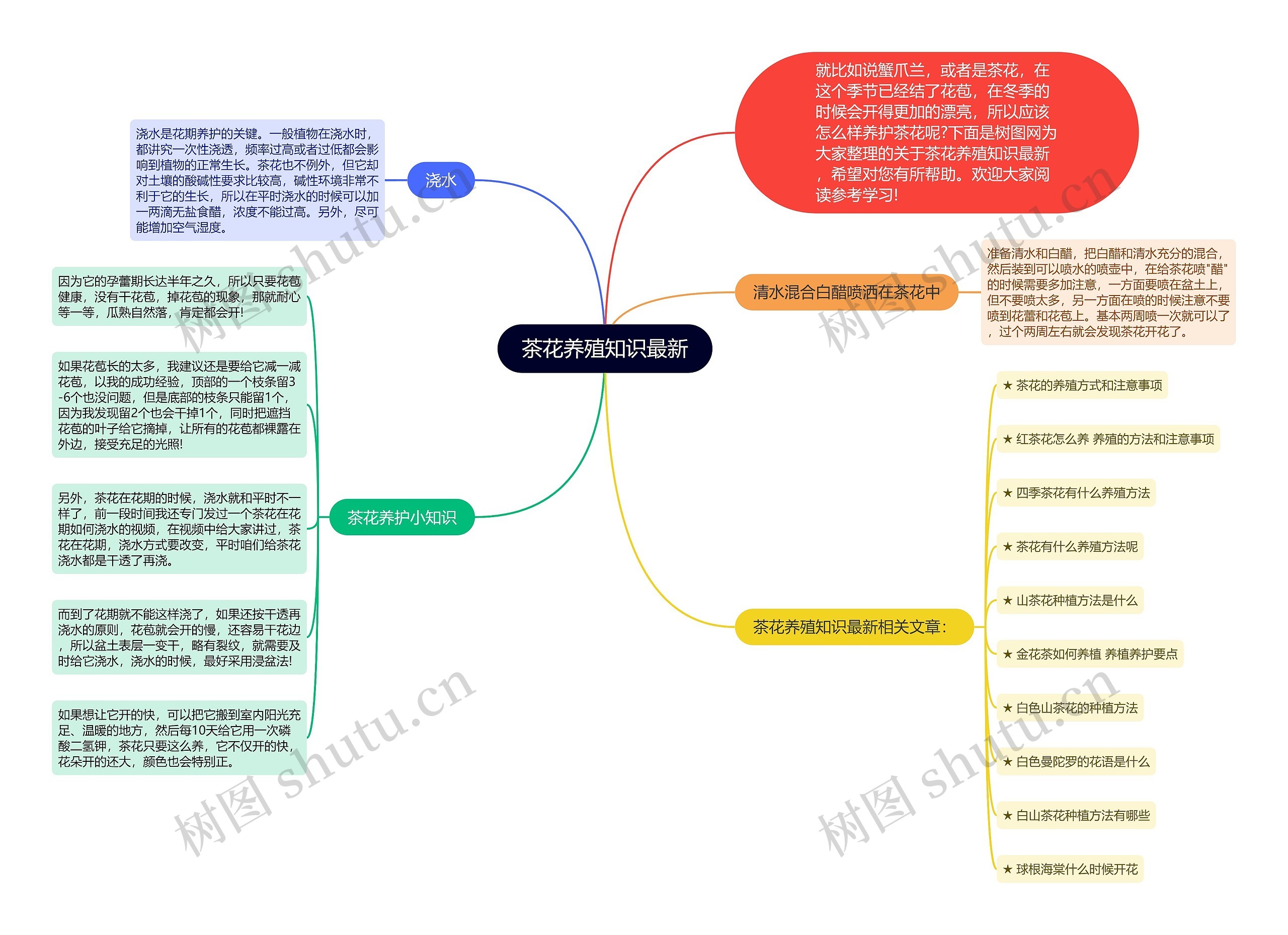 茶花养殖知识最新思维导图