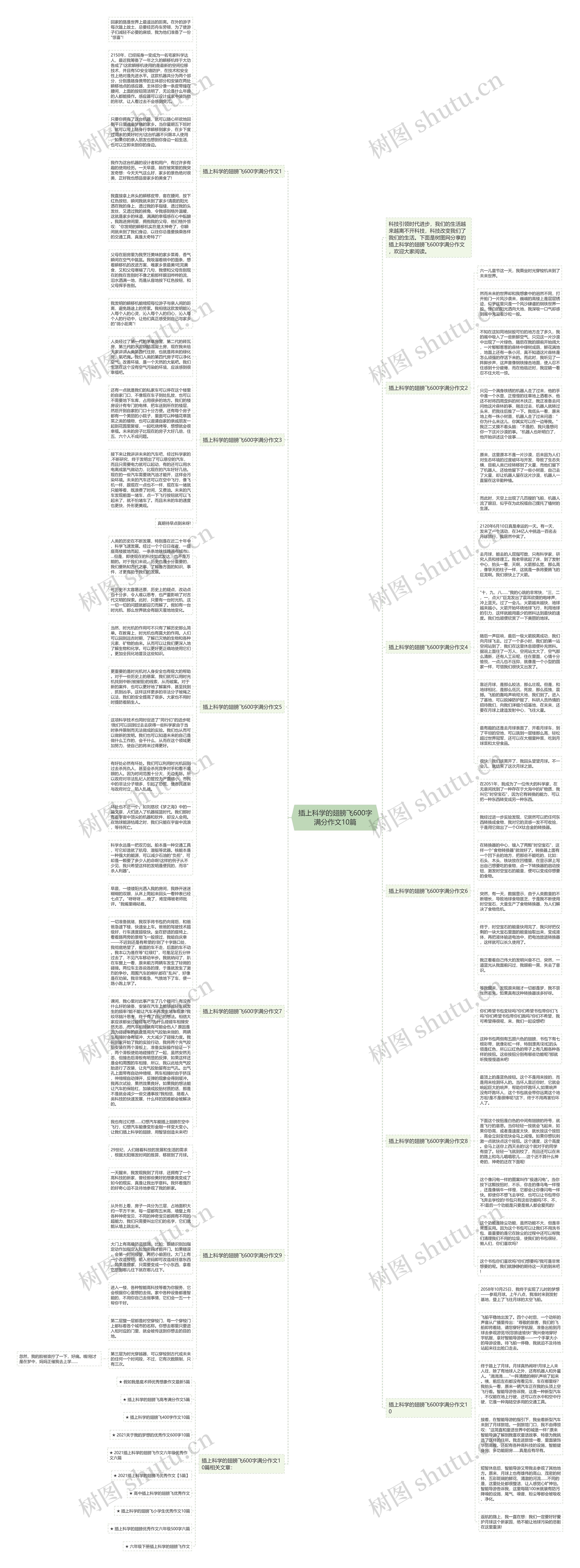 插上科学的翅膀飞600字满分作文10篇思维导图