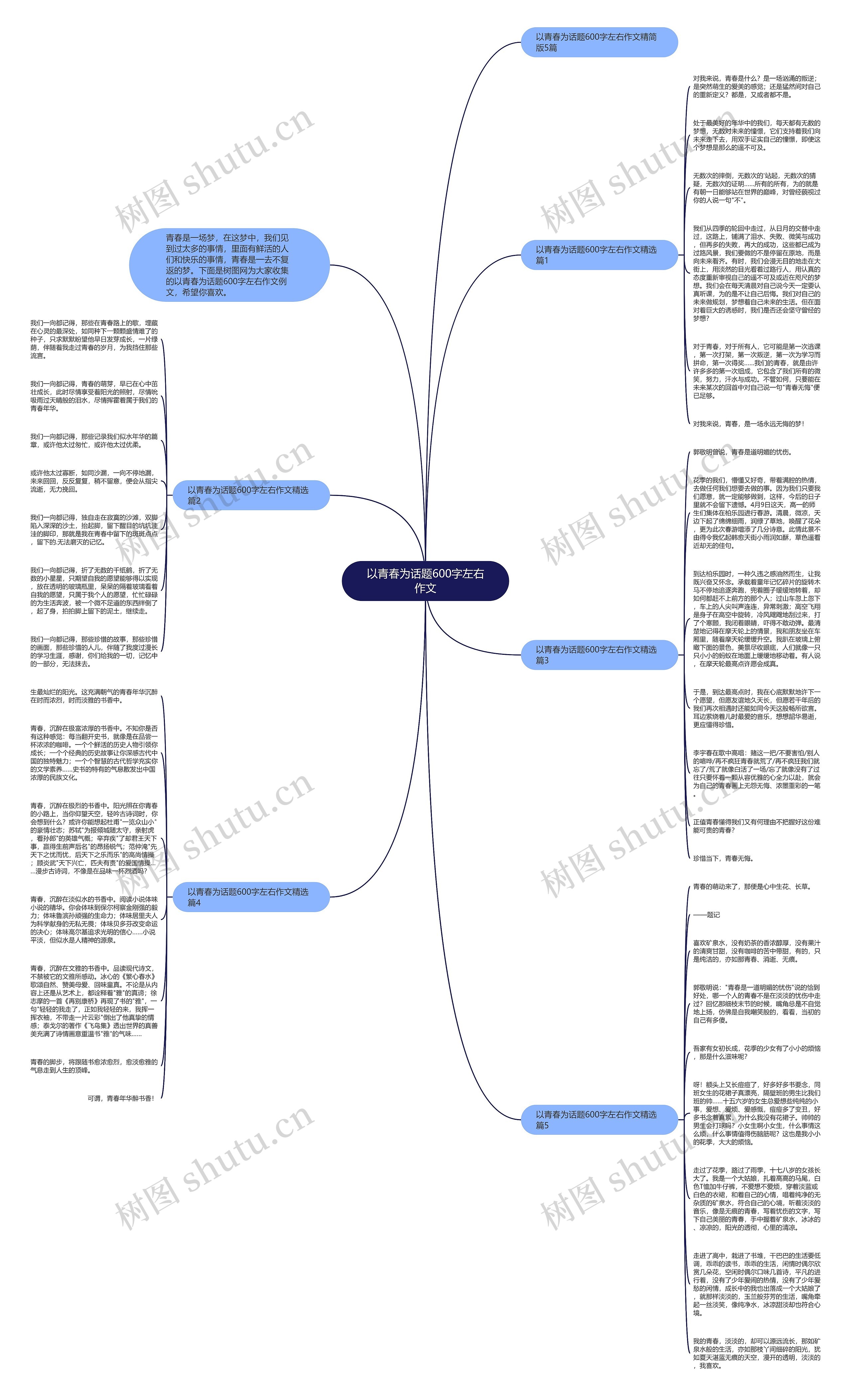 以青春为话题600字左右作文思维导图