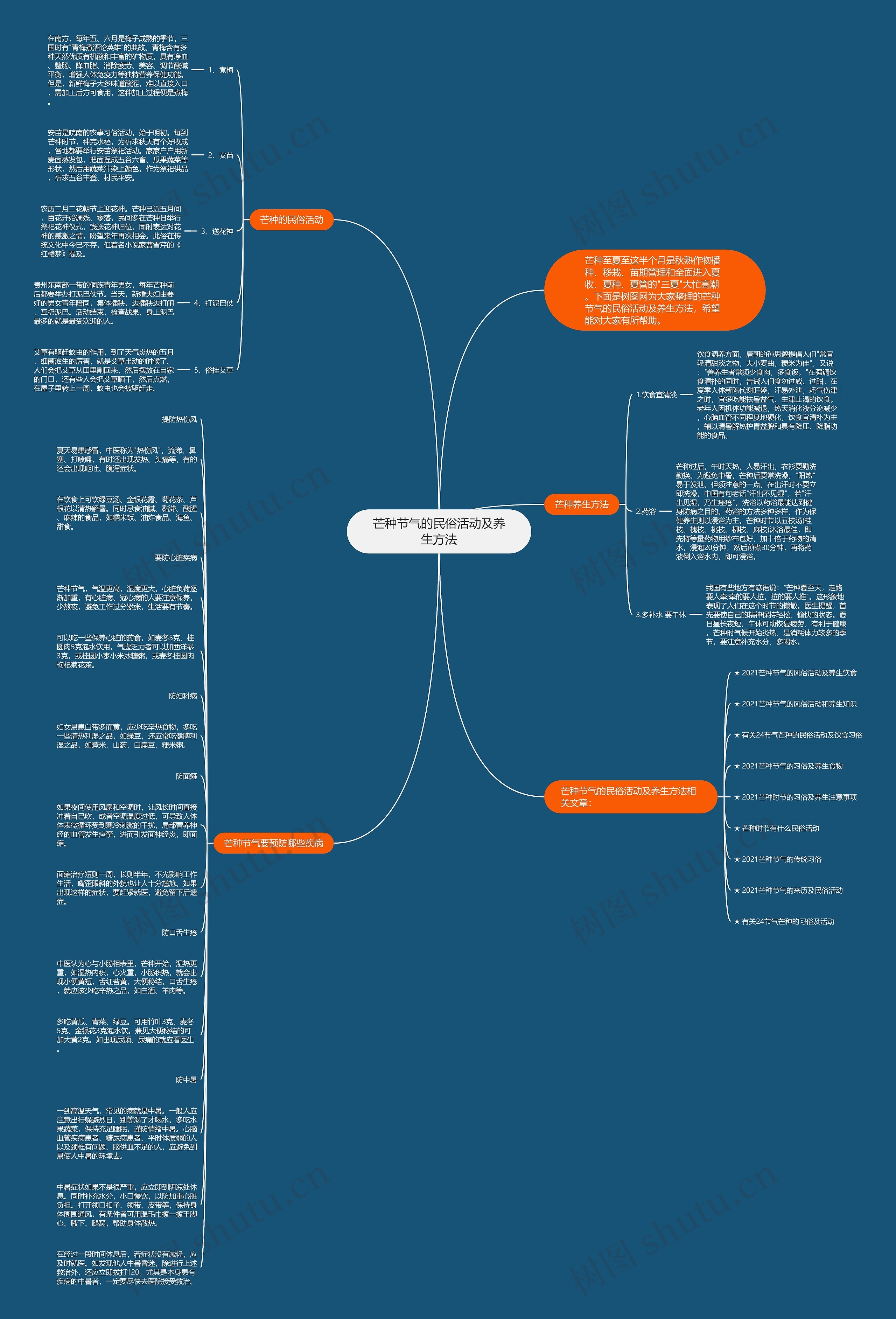 芒种节气的民俗活动及养生方法思维导图