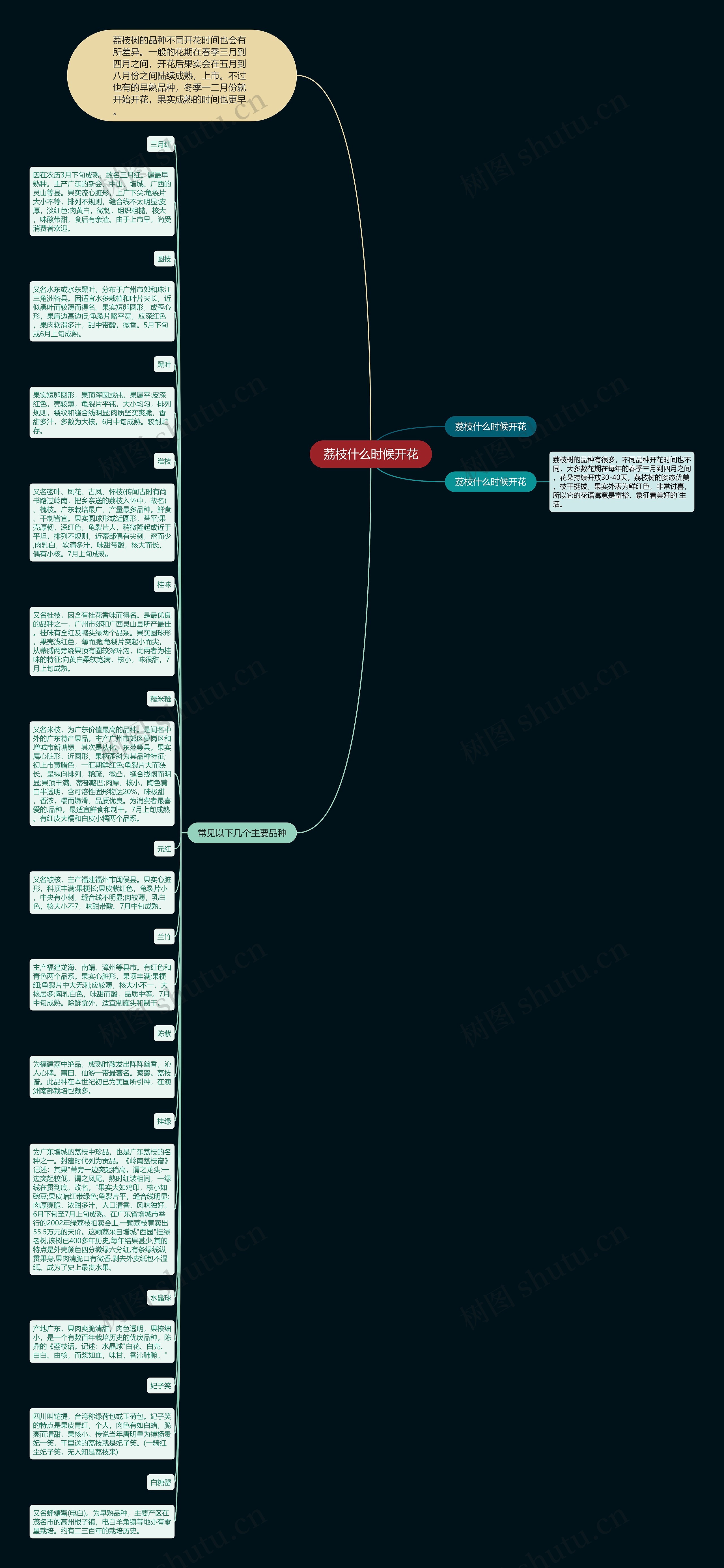 荔枝什么时候开花思维导图