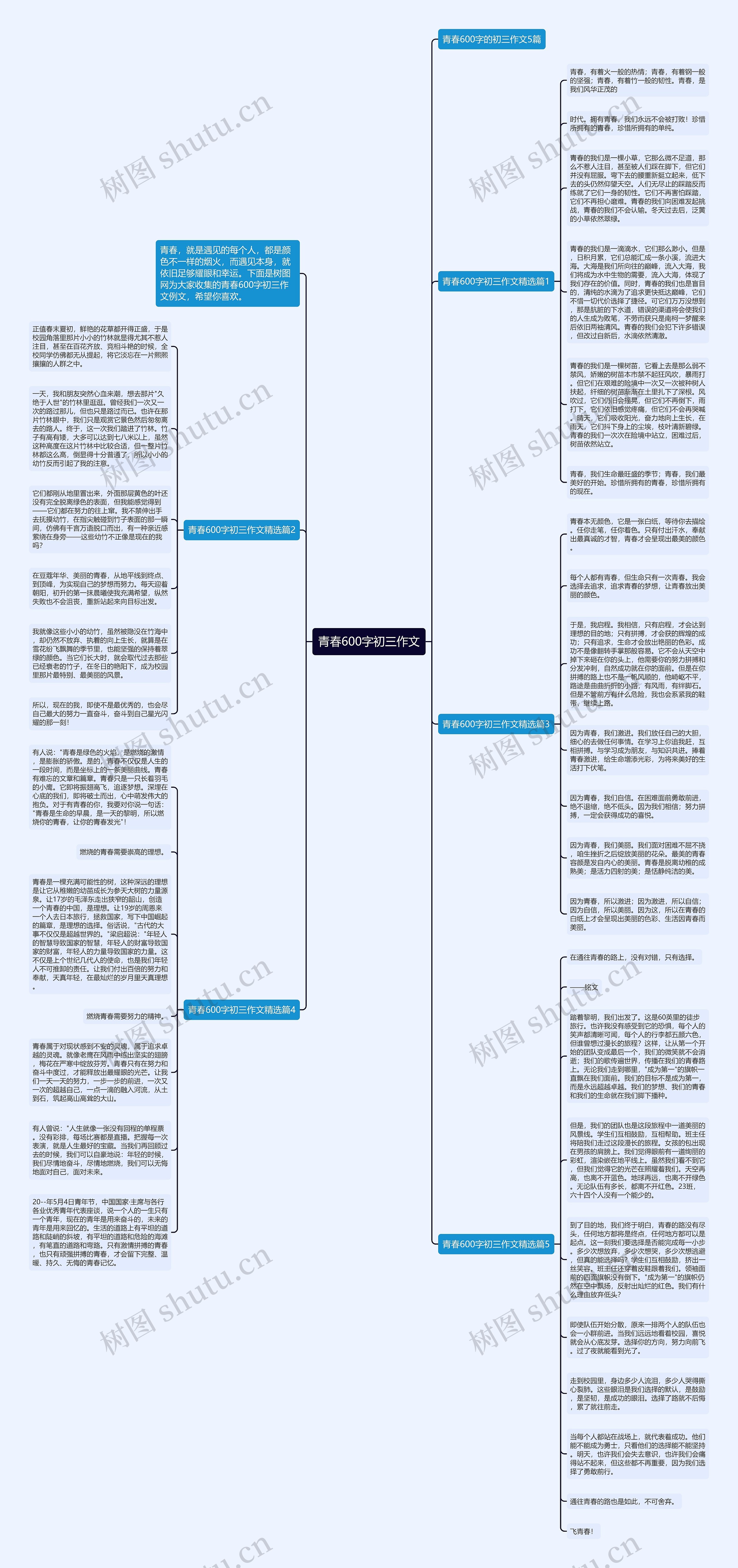 青春600字初三作文思维导图
