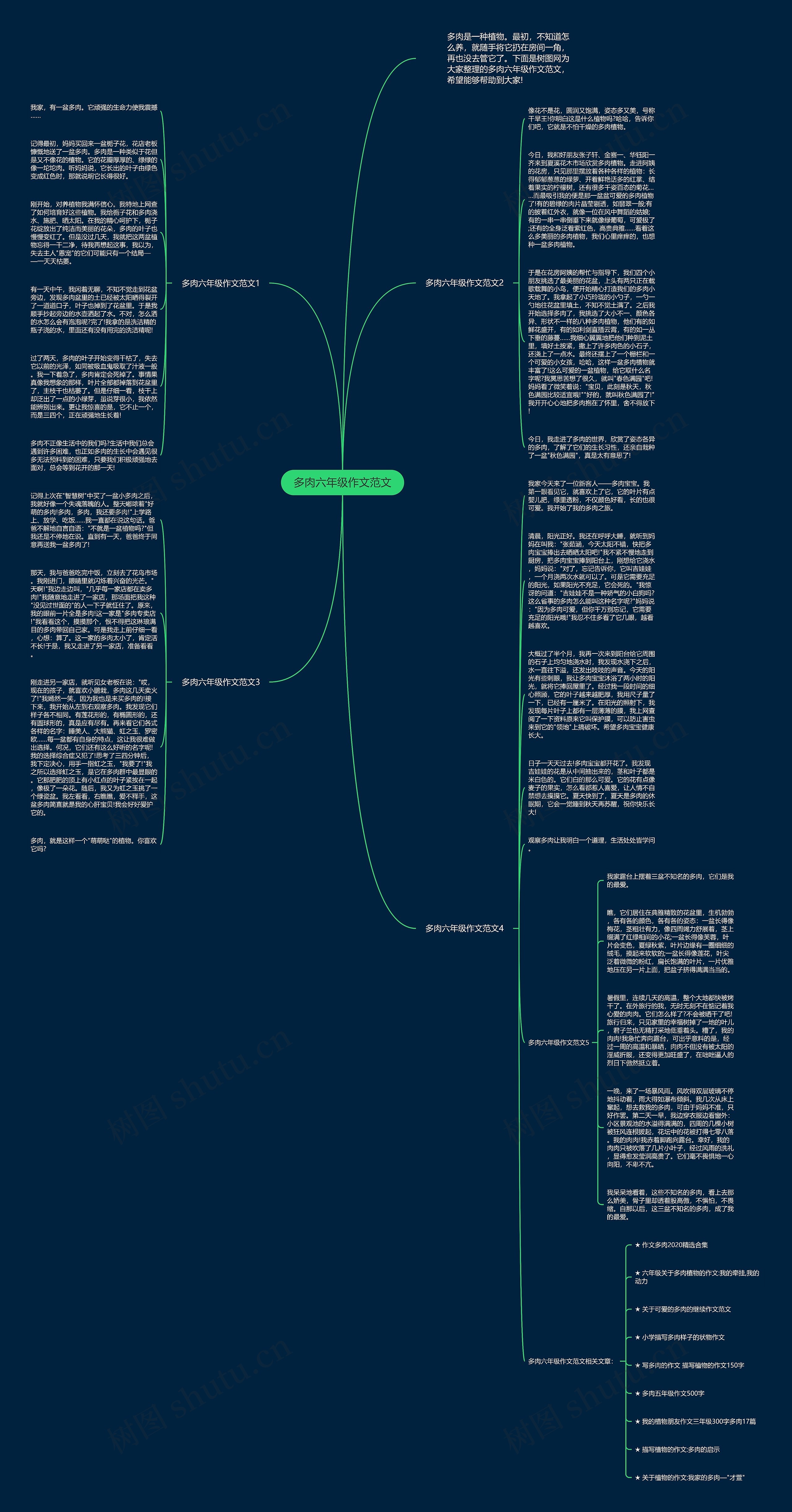 多肉六年级作文范文思维导图