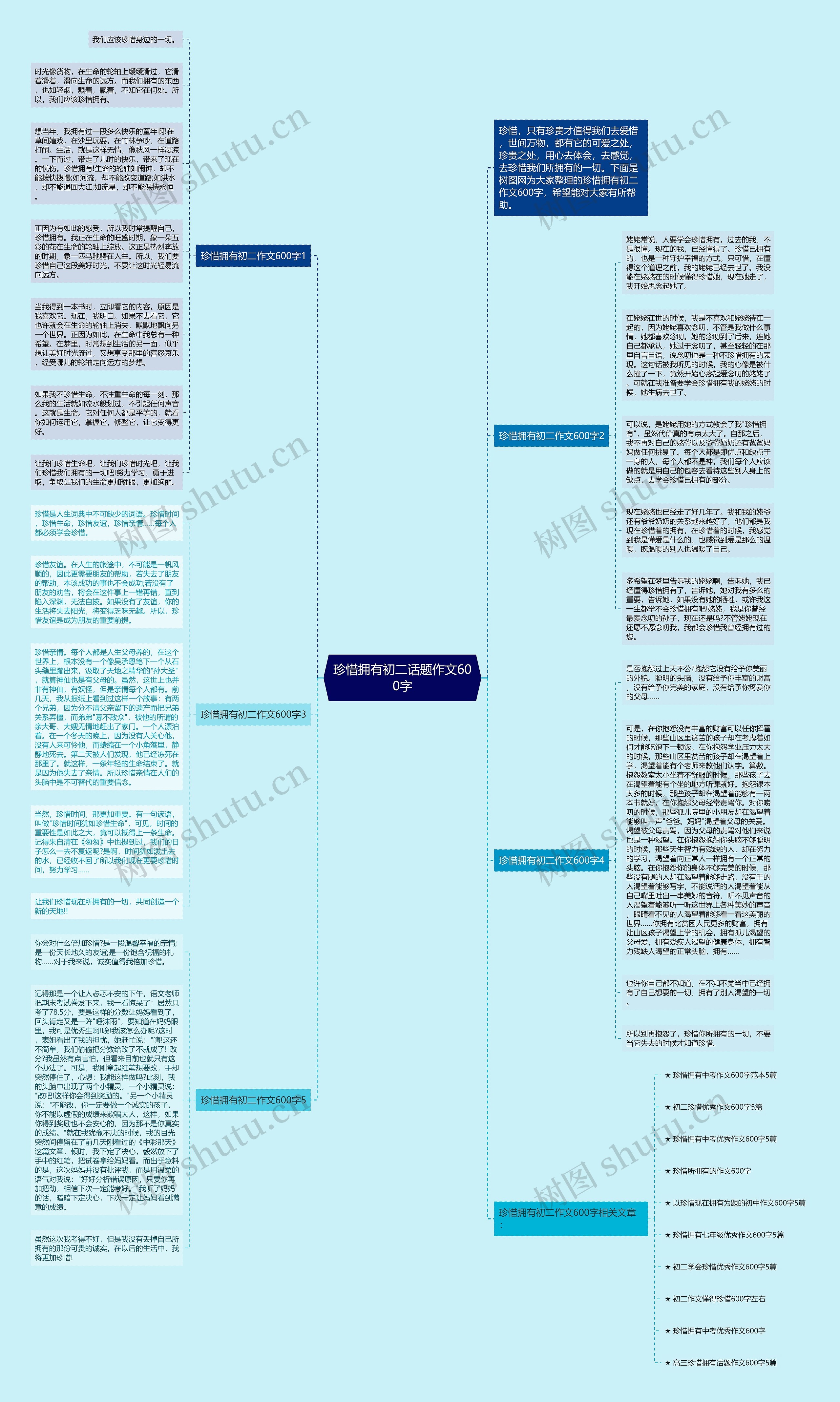 珍惜拥有初二话题作文600字思维导图