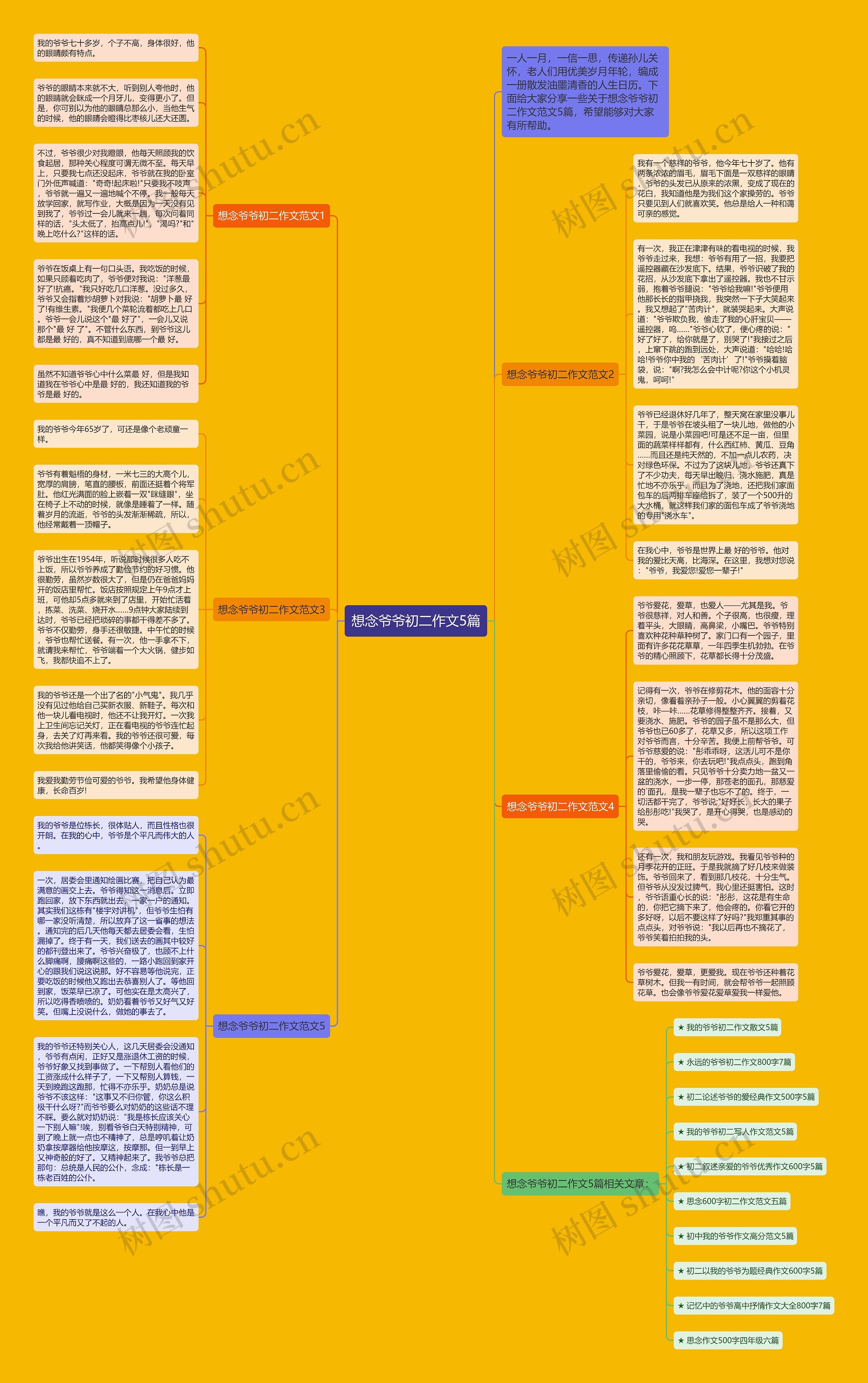 想念爷爷初二作文5篇思维导图