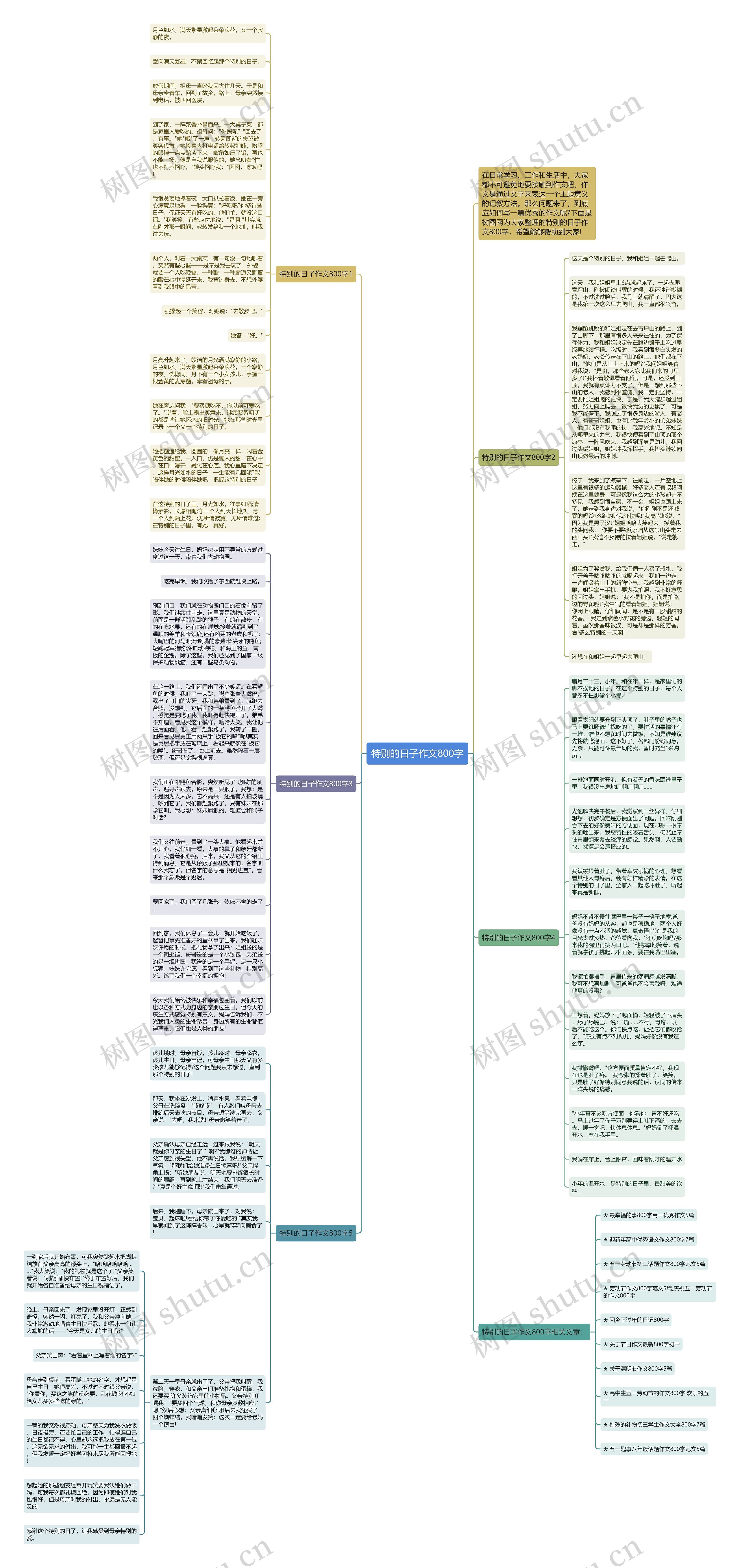 特别的日子作文800字思维导图