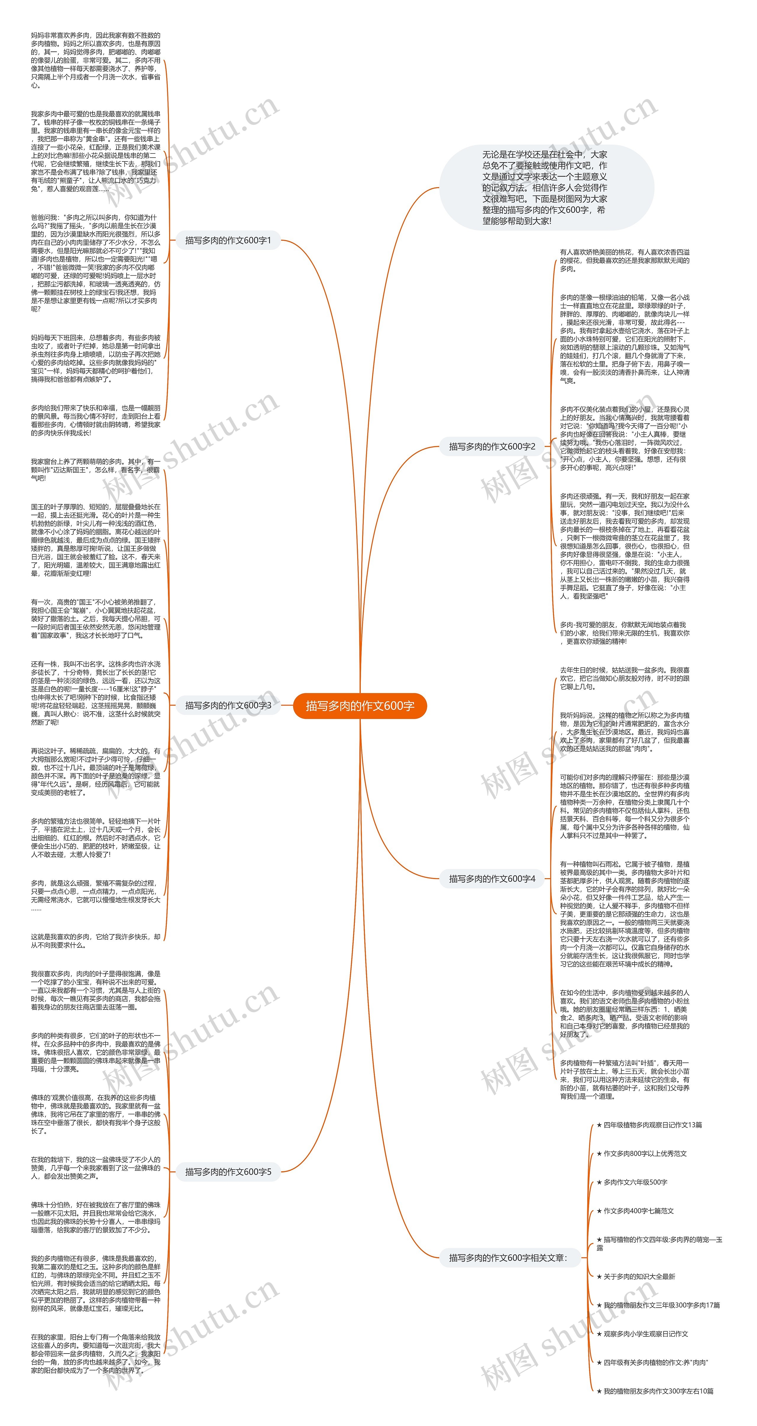 描写多肉的作文600字思维导图