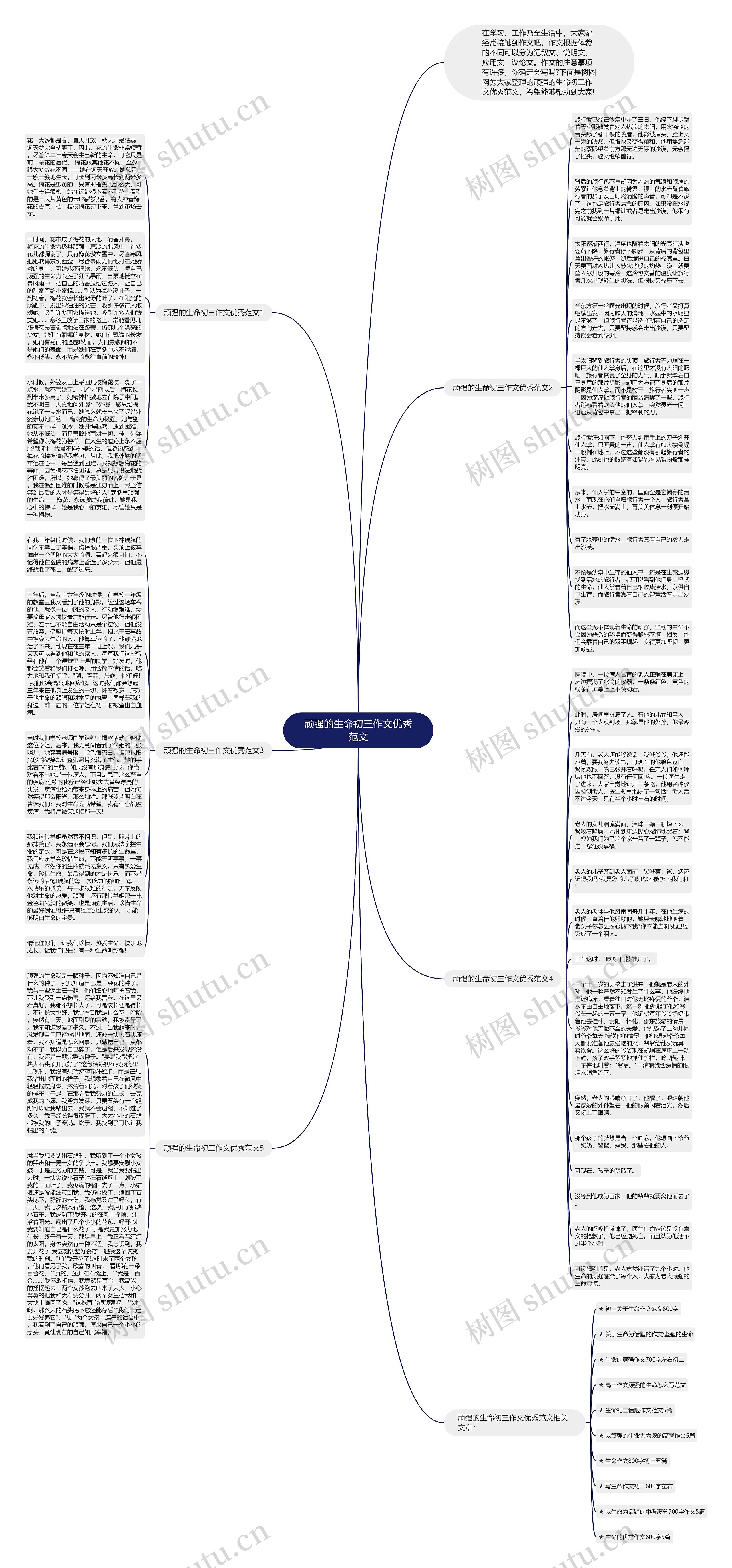 顽强的生命初三作文优秀范文思维导图