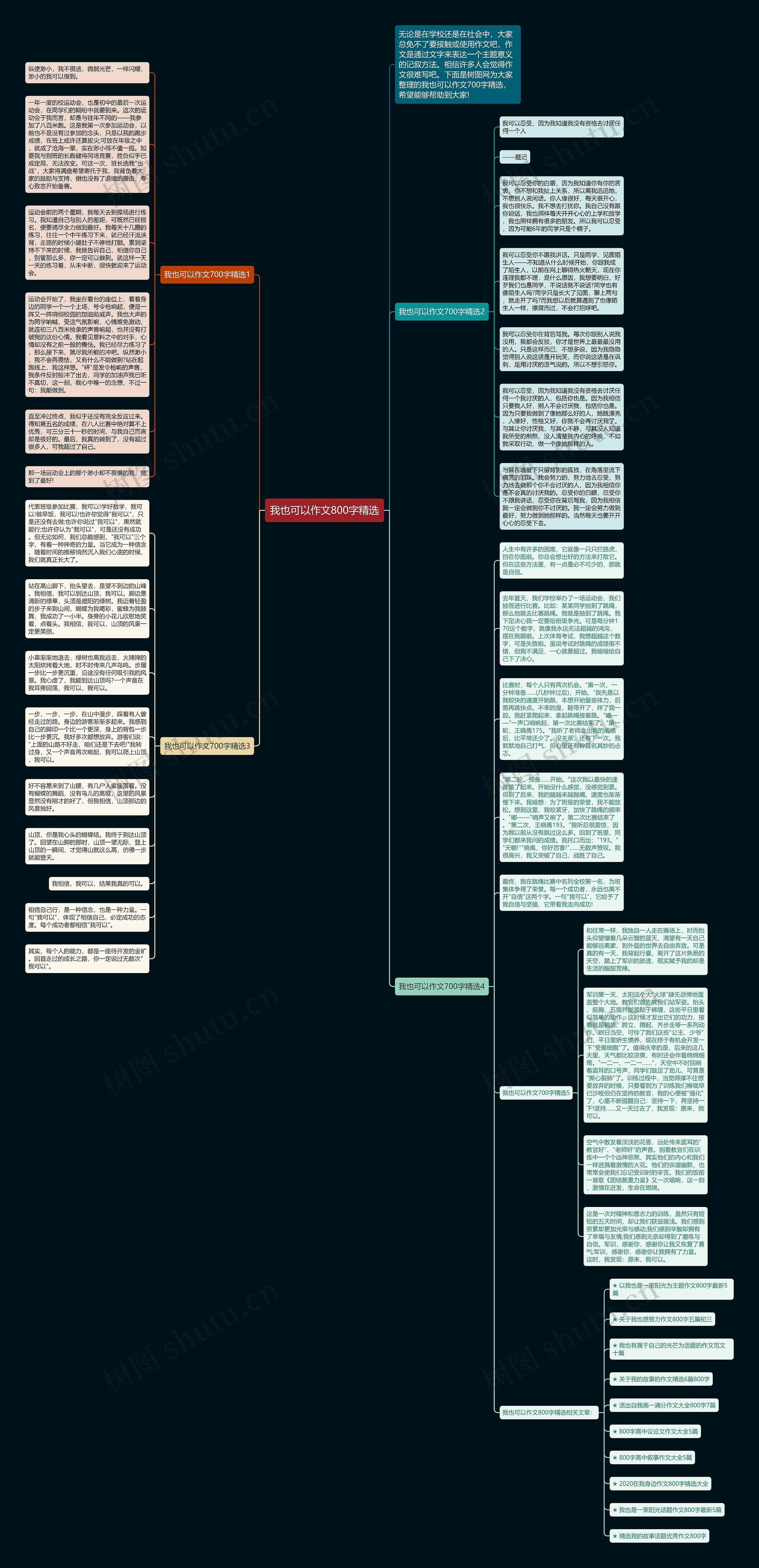 我也可以作文800字精选思维导图
