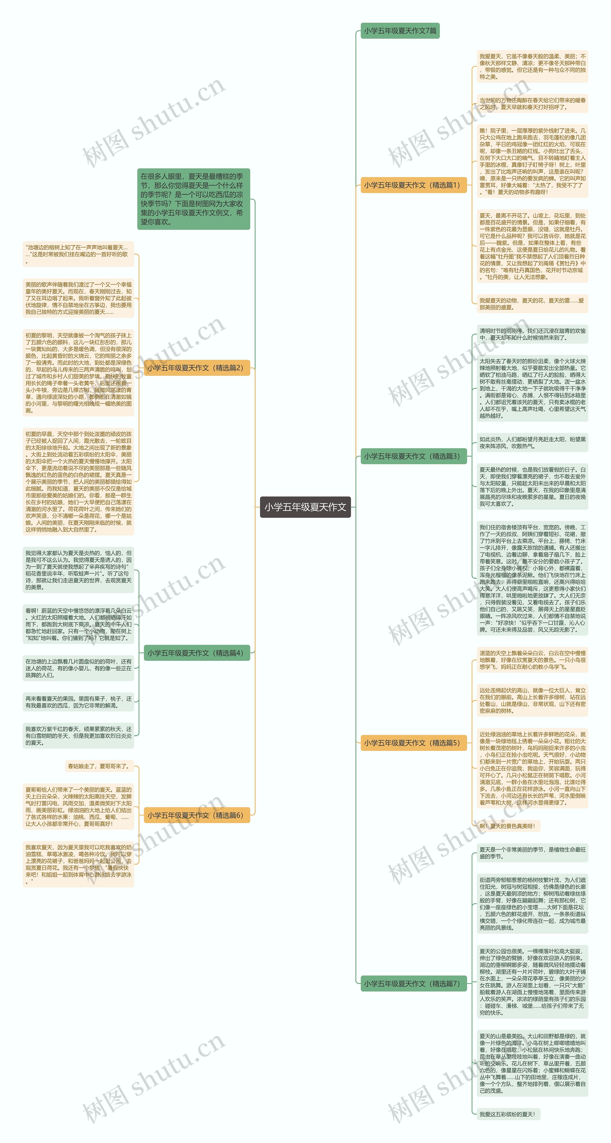 小学五年级夏天作文思维导图