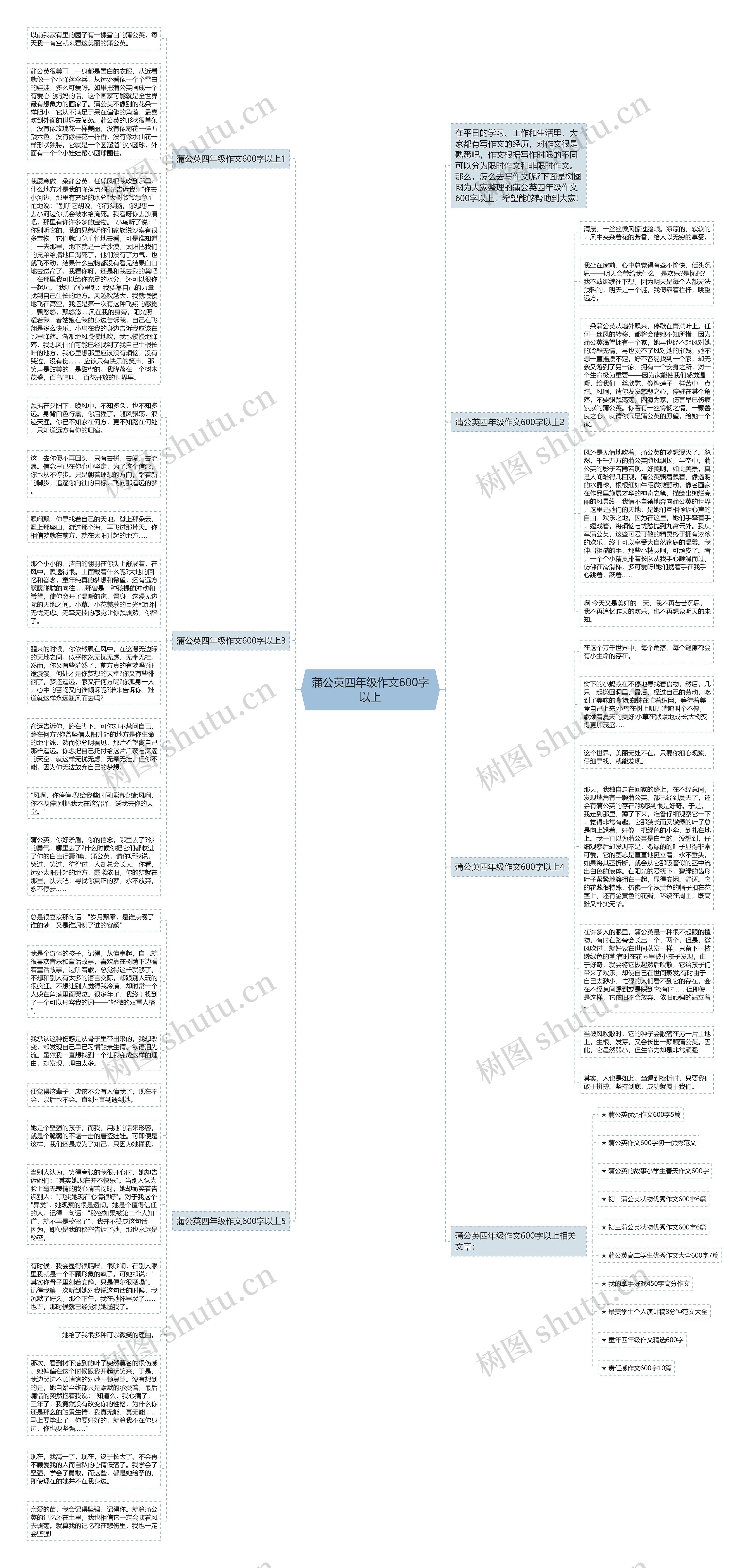 蒲公英四年级作文600字以上思维导图