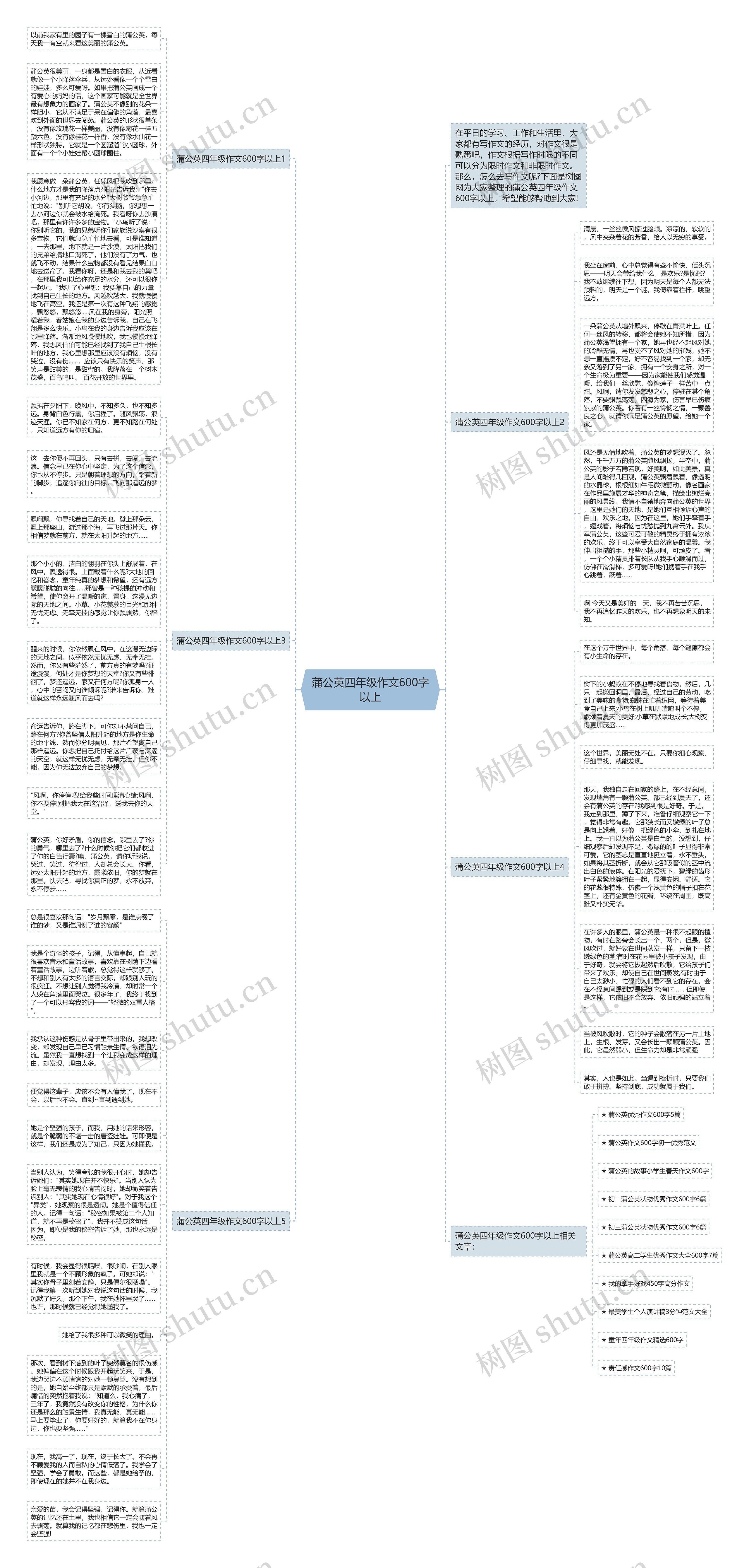 蒲公英四年级作文600字以上思维导图高清图 蒲公英四年级作文600字以上思维导图