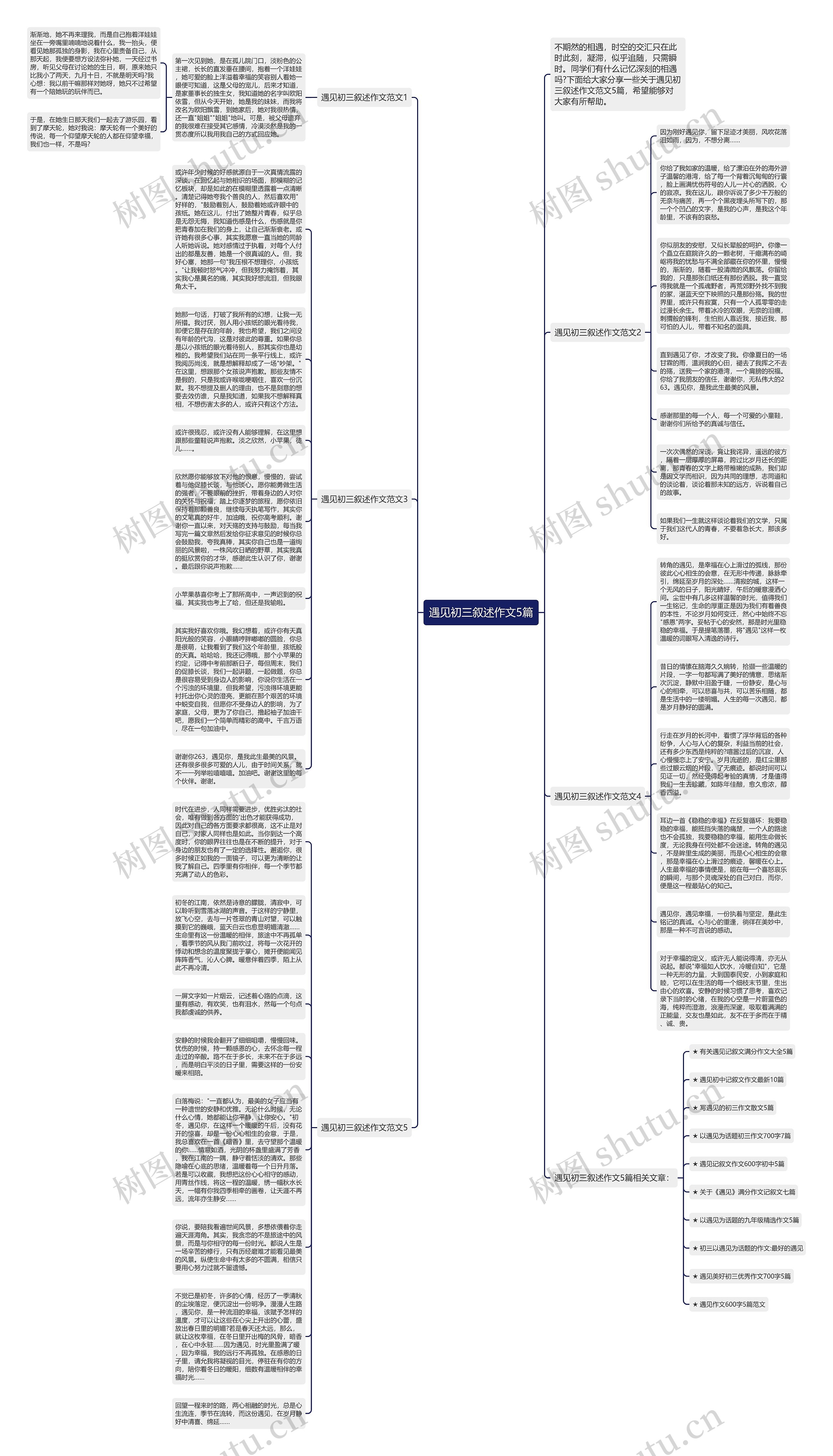 遇见初三叙述作文5篇思维导图