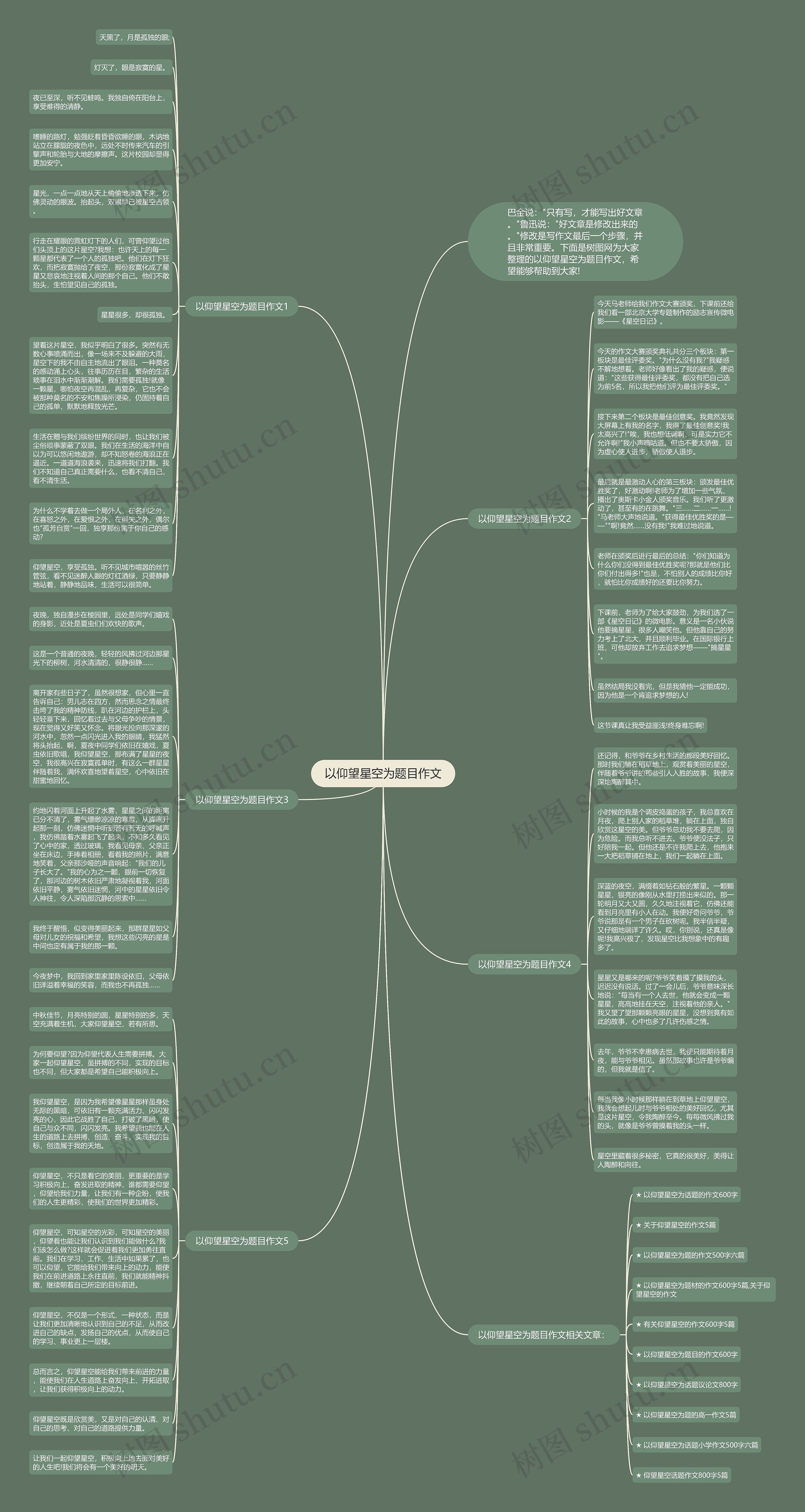 以仰望星空为题目作文思维导图