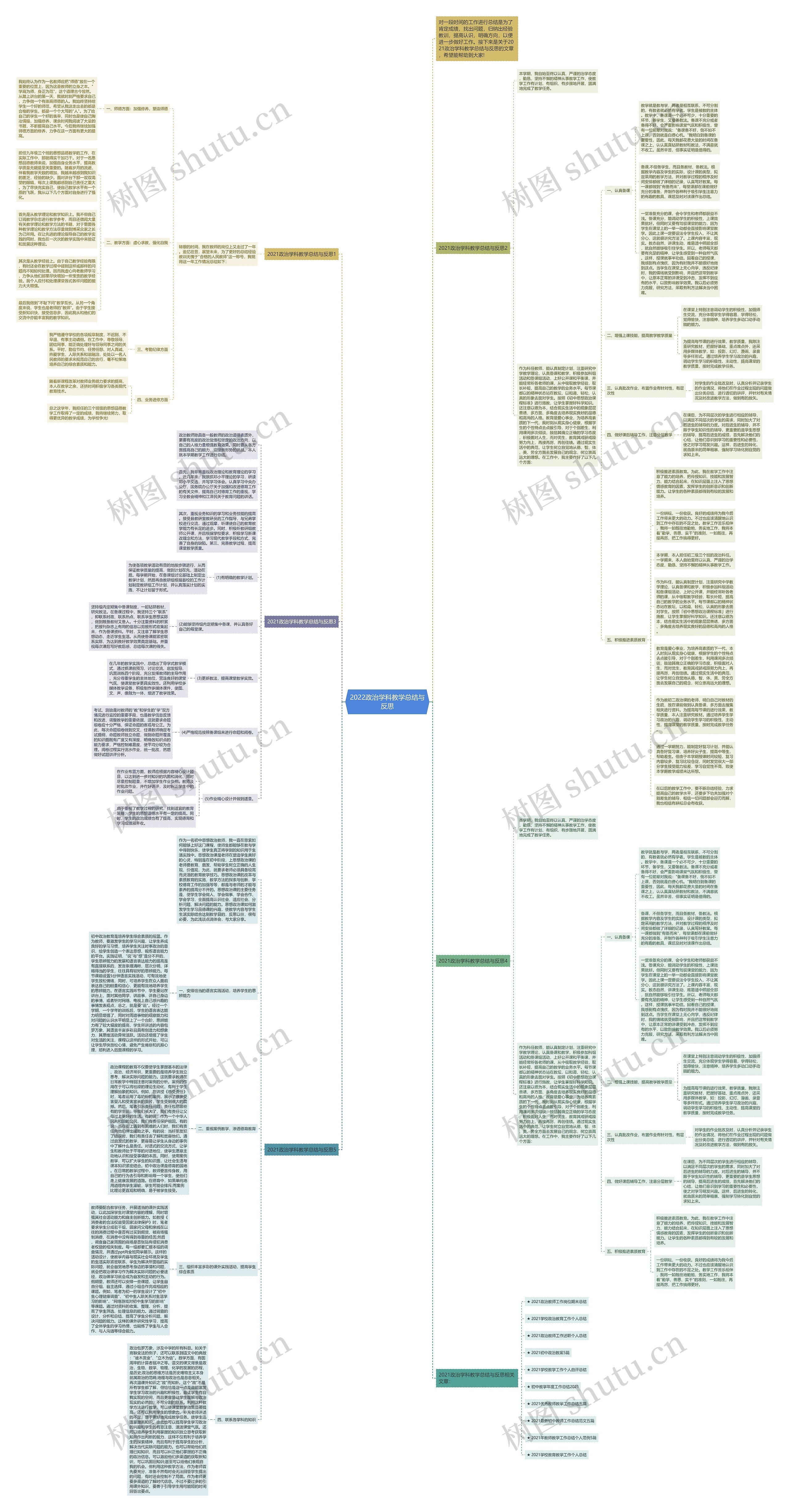 2022政治学科教学总结与反思思维导图