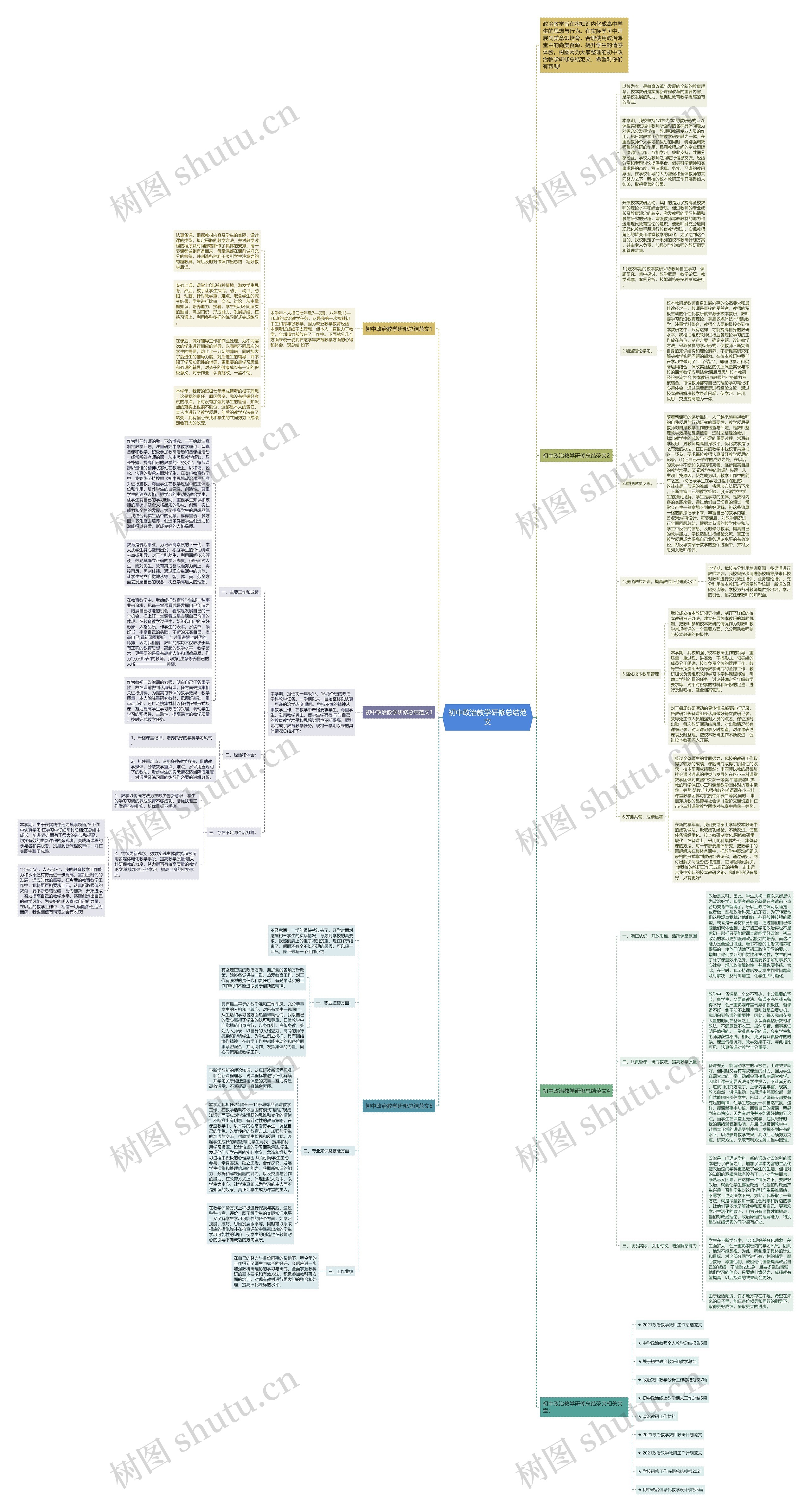 初中政治教学研修总结范文思维导图