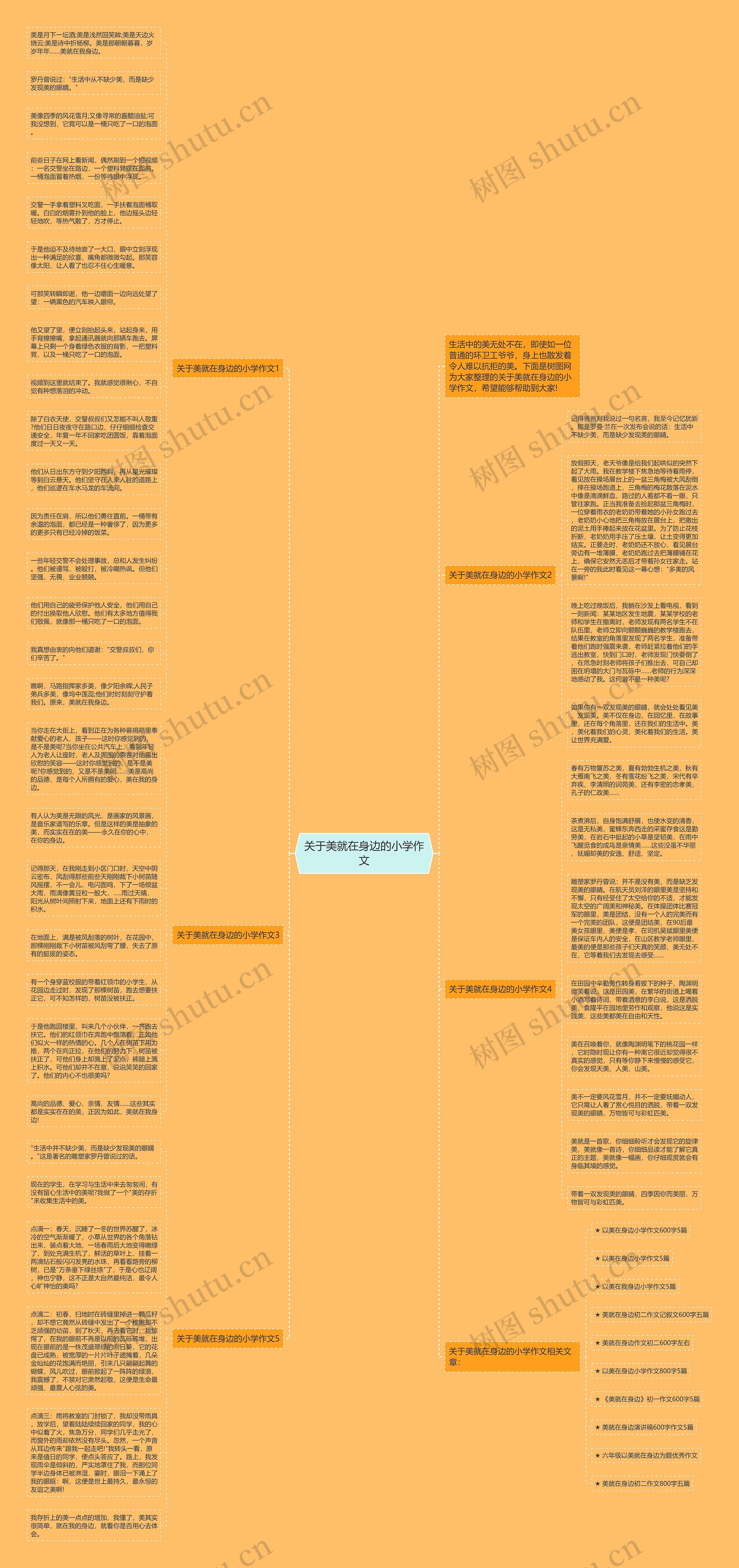 关于美就在身边的小学作文思维导图