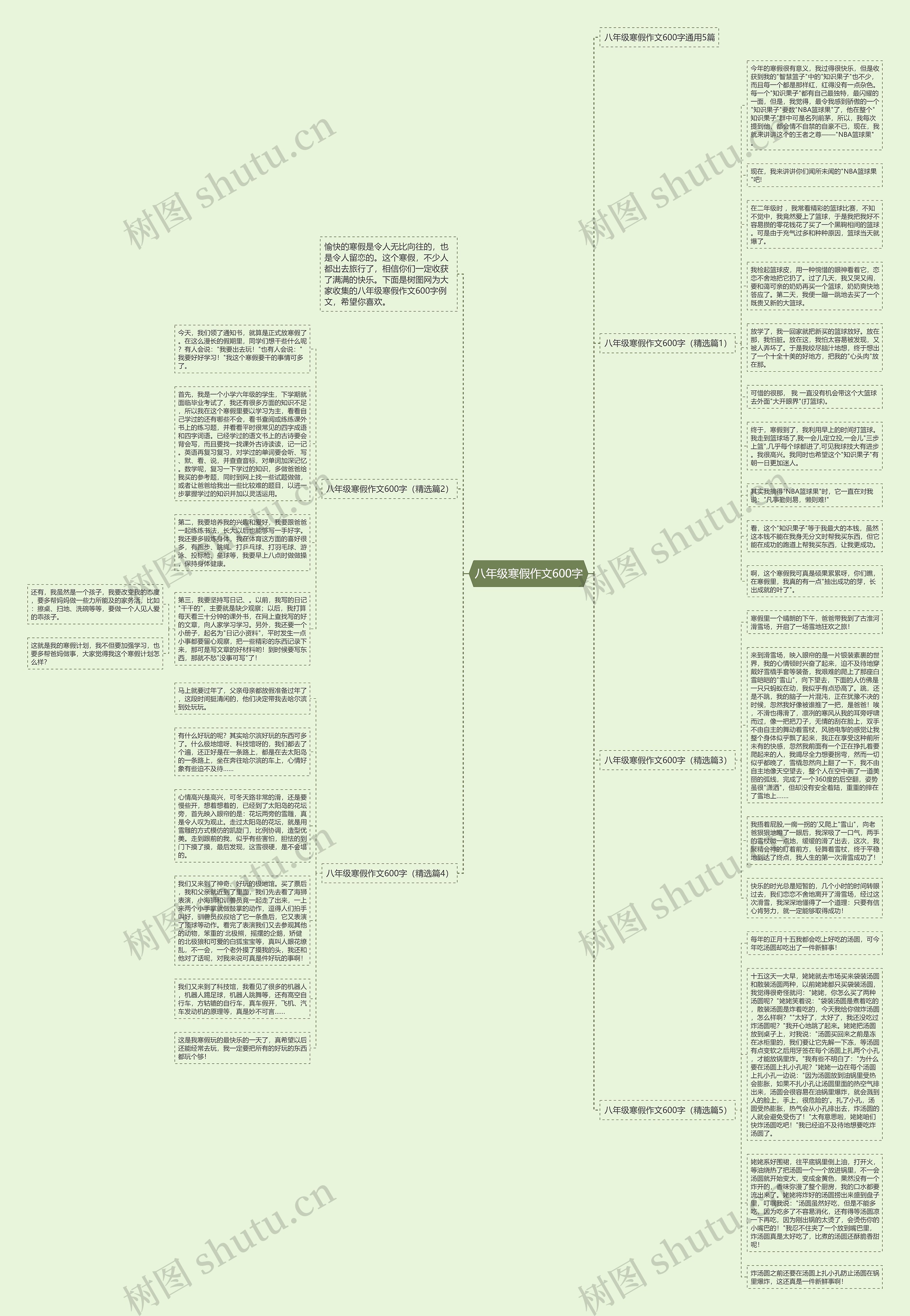 八年级寒假作文600字思维导图