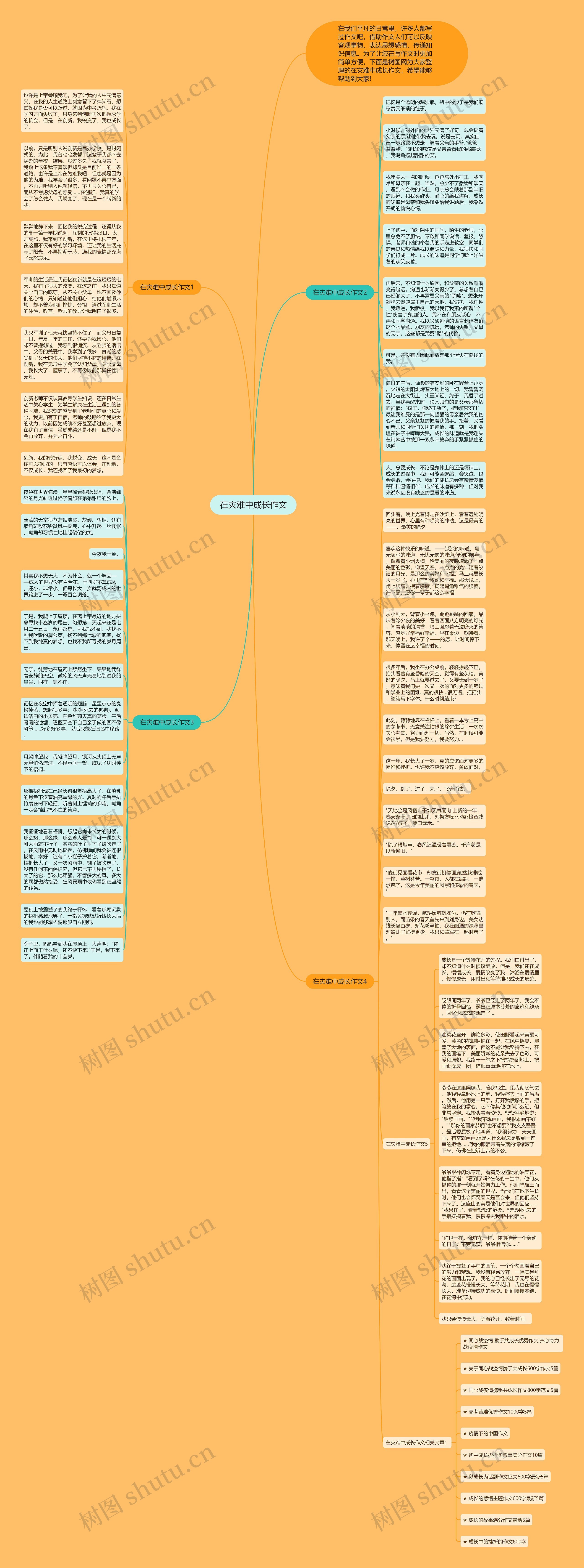 在灾难中成长作文思维导图