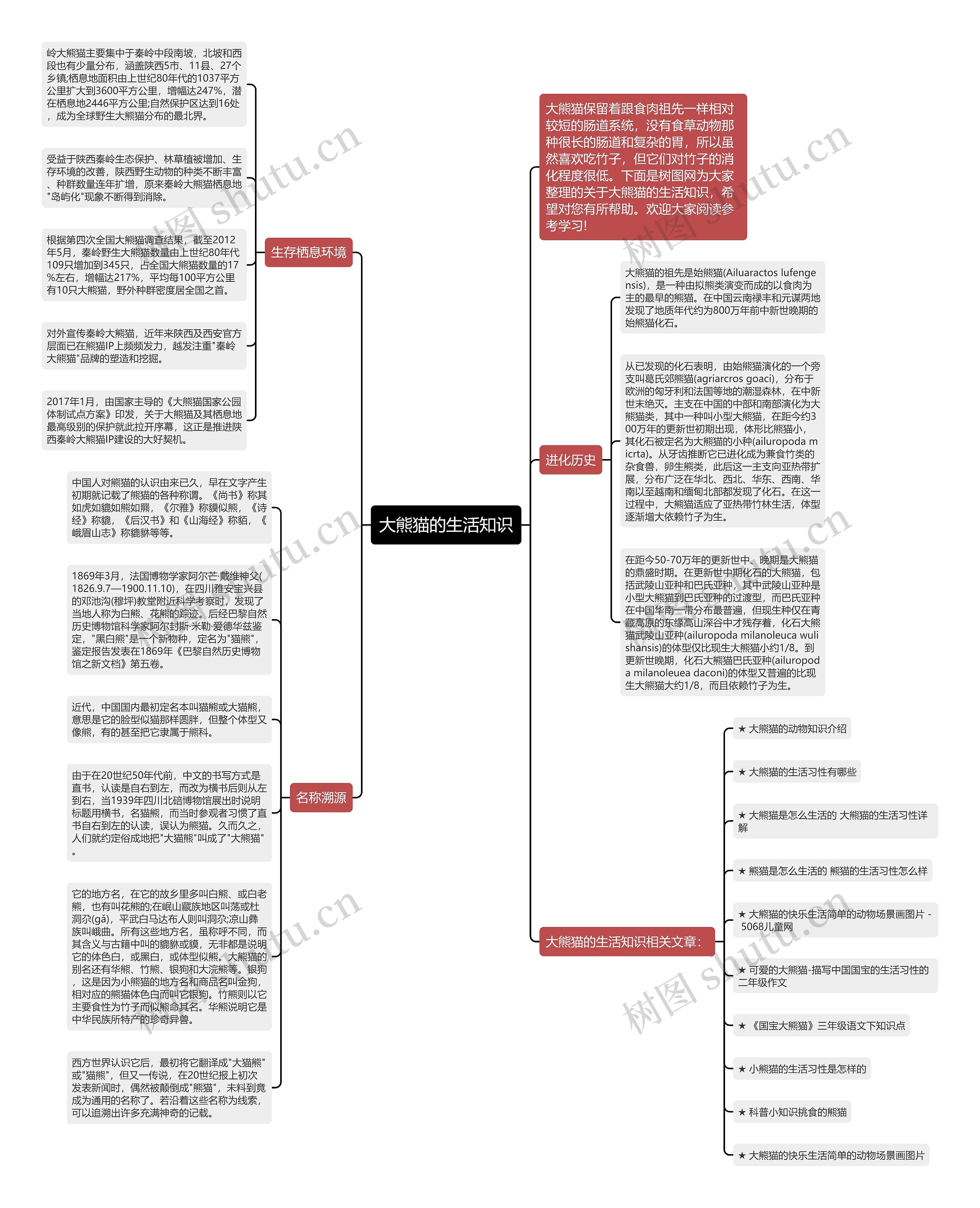 大熊猫的生活知识思维导图
