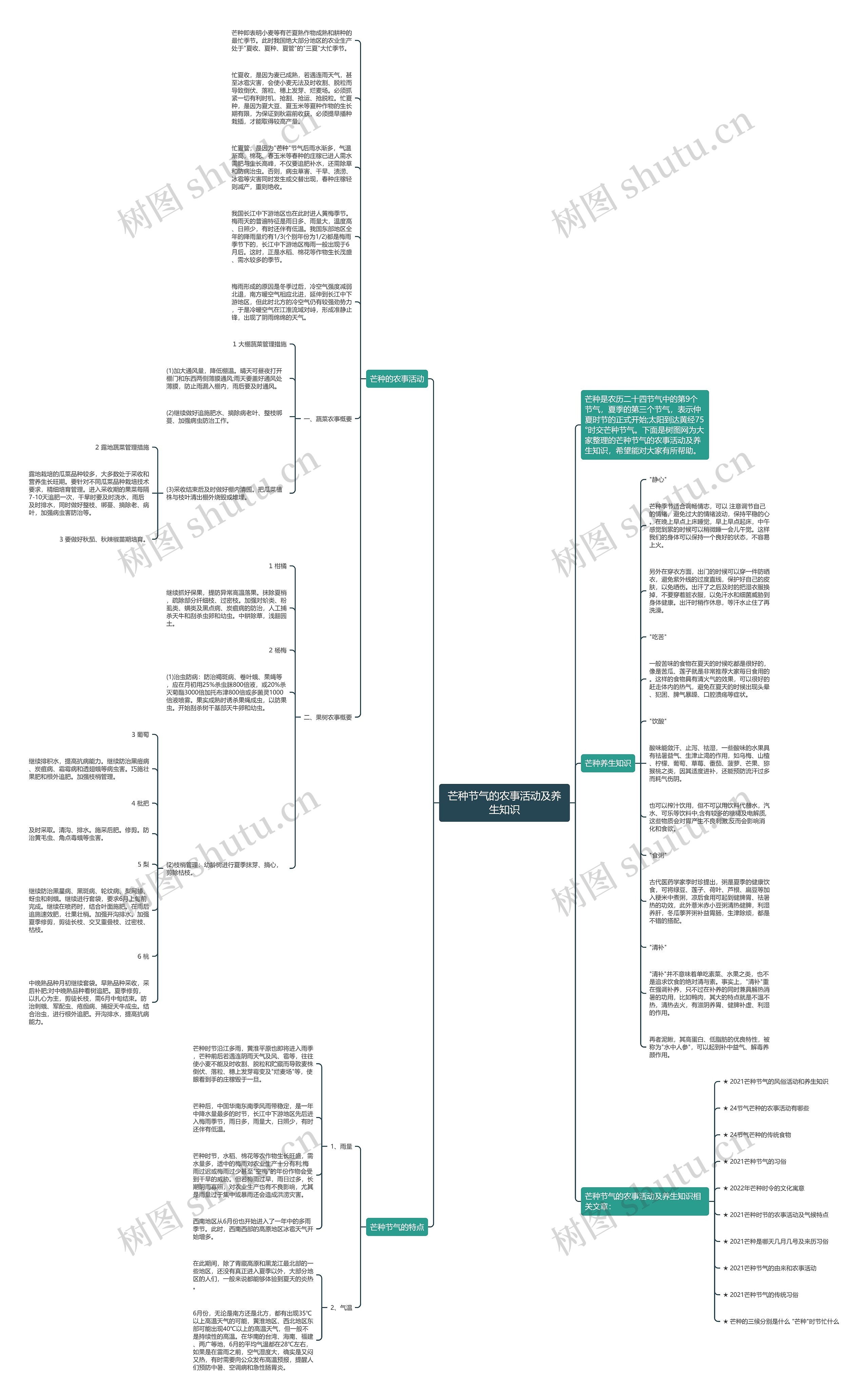 芒种节气的农事活动及养生知识思维导图