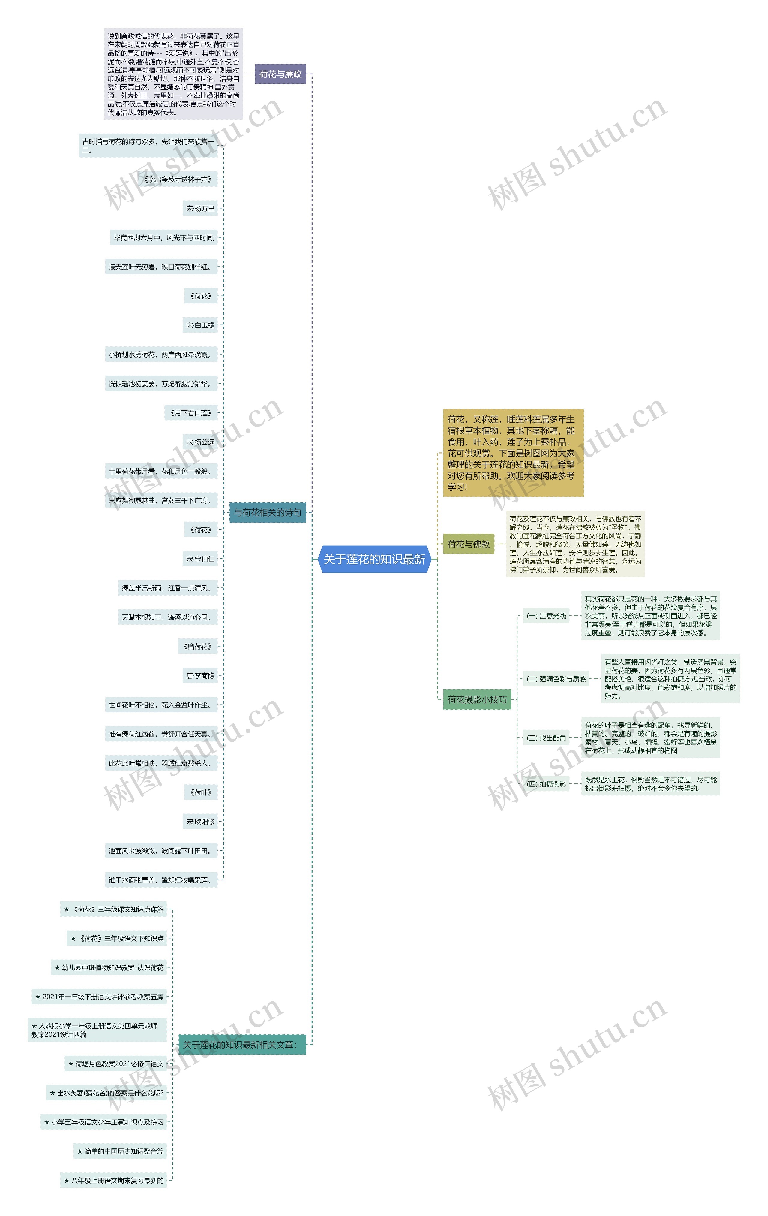 关于莲花的知识最新思维导图
