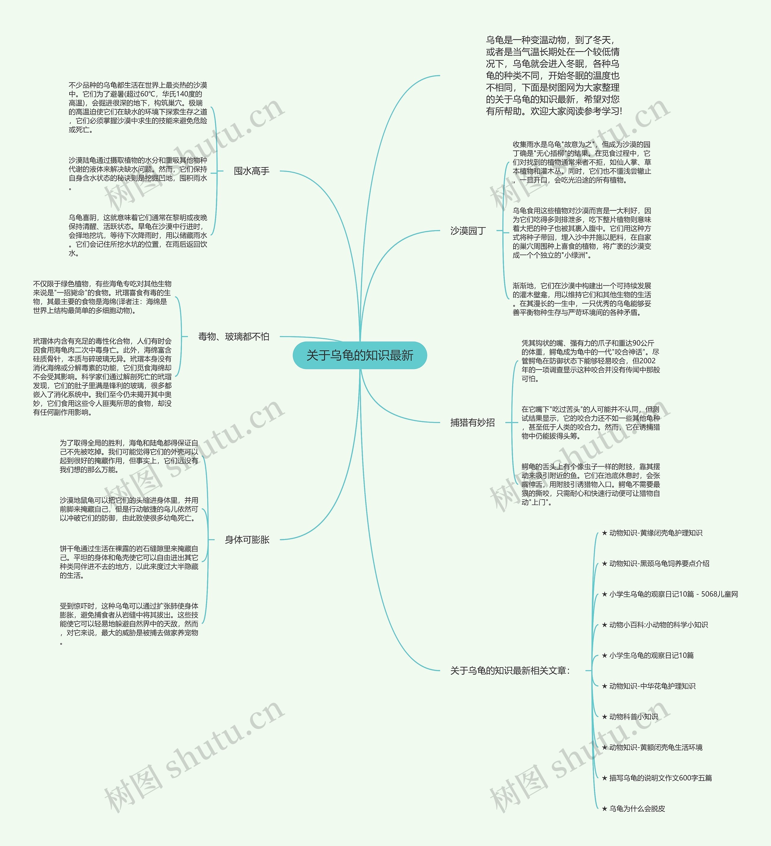 关于乌龟的知识最新思维导图