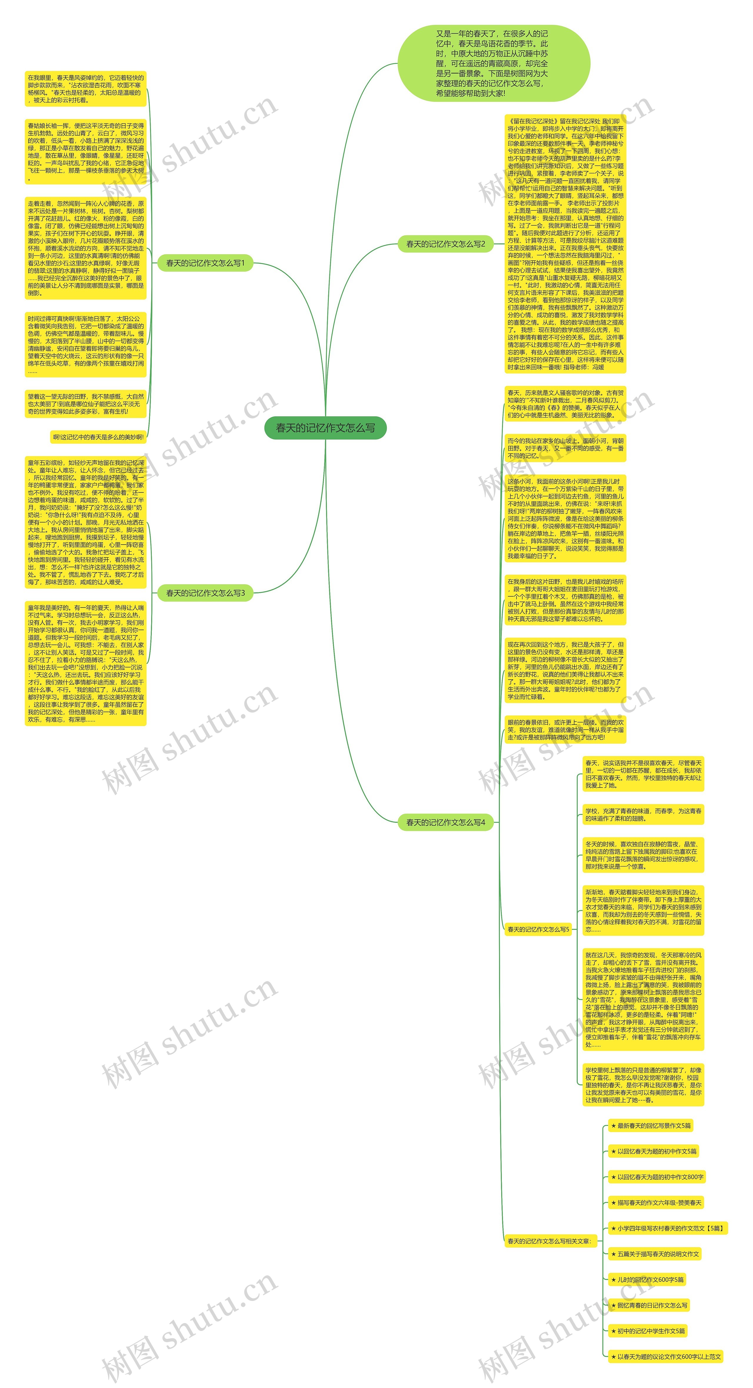 春天的记忆作文怎么写思维导图