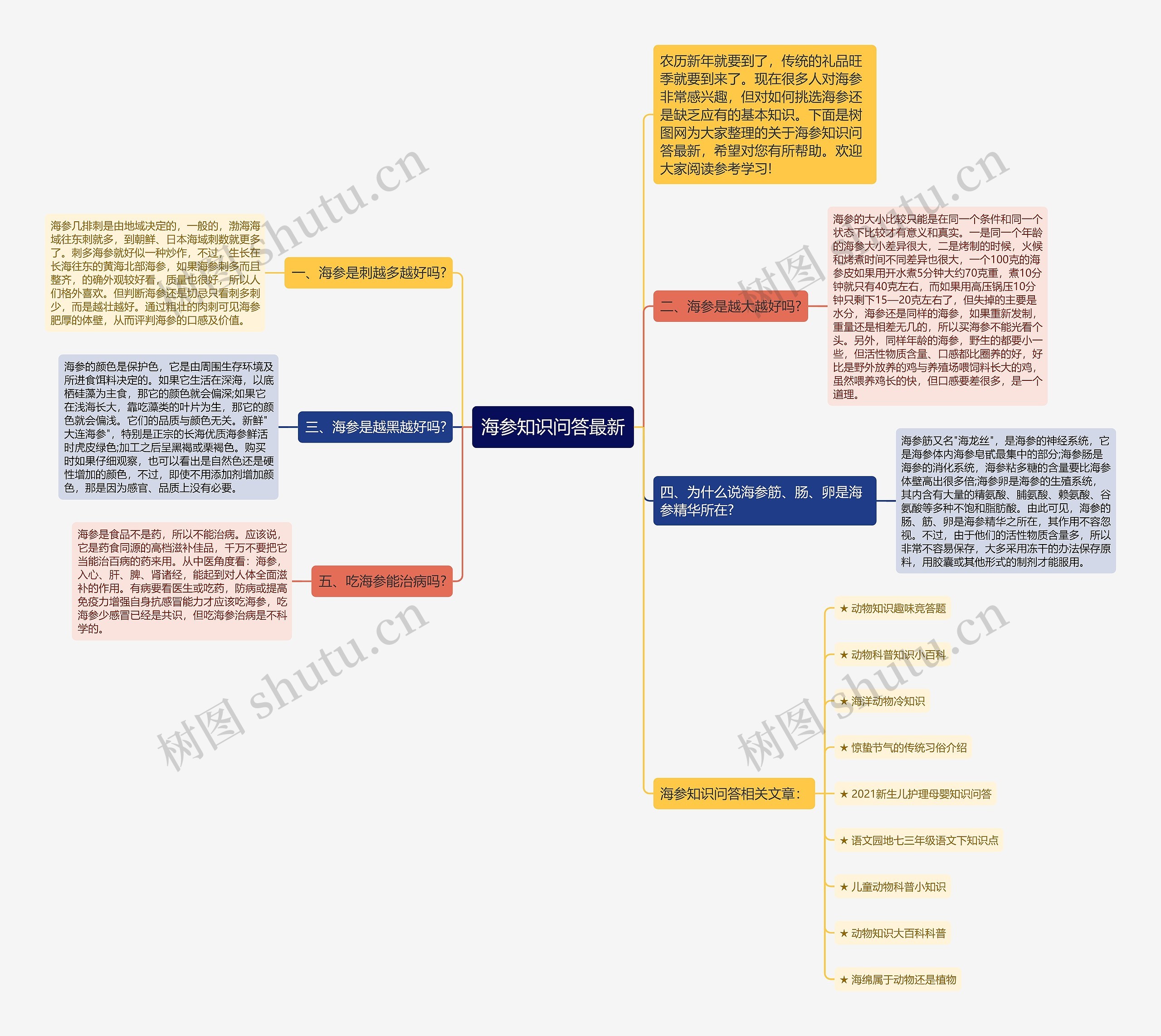 海参知识问答最新思维导图