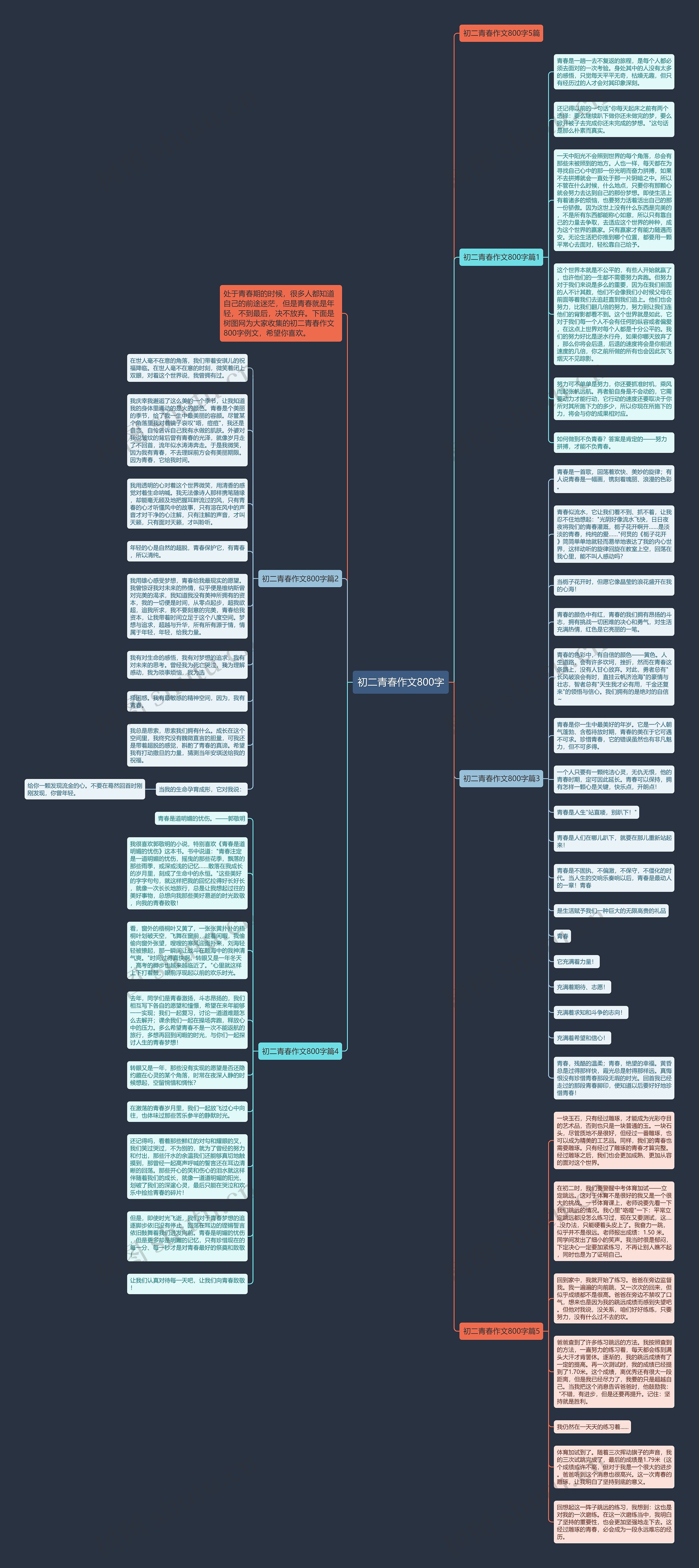 初二青春作文800字思维导图