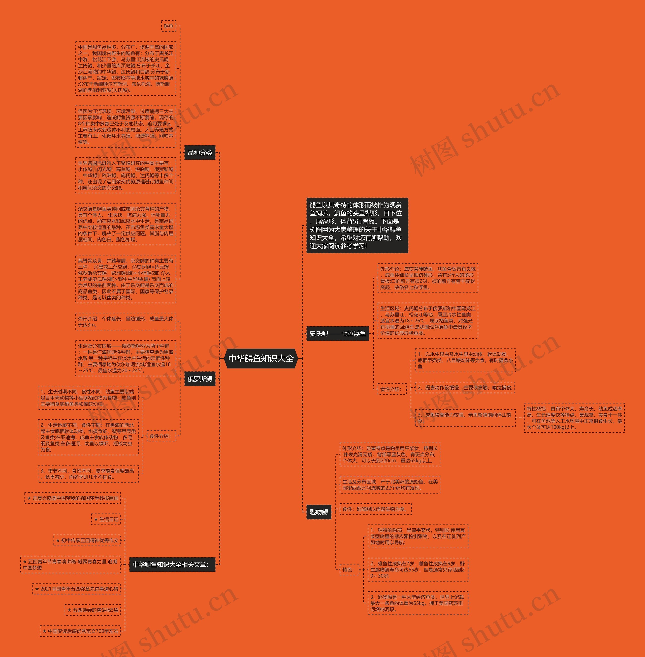 中华鲟鱼知识大全思维导图