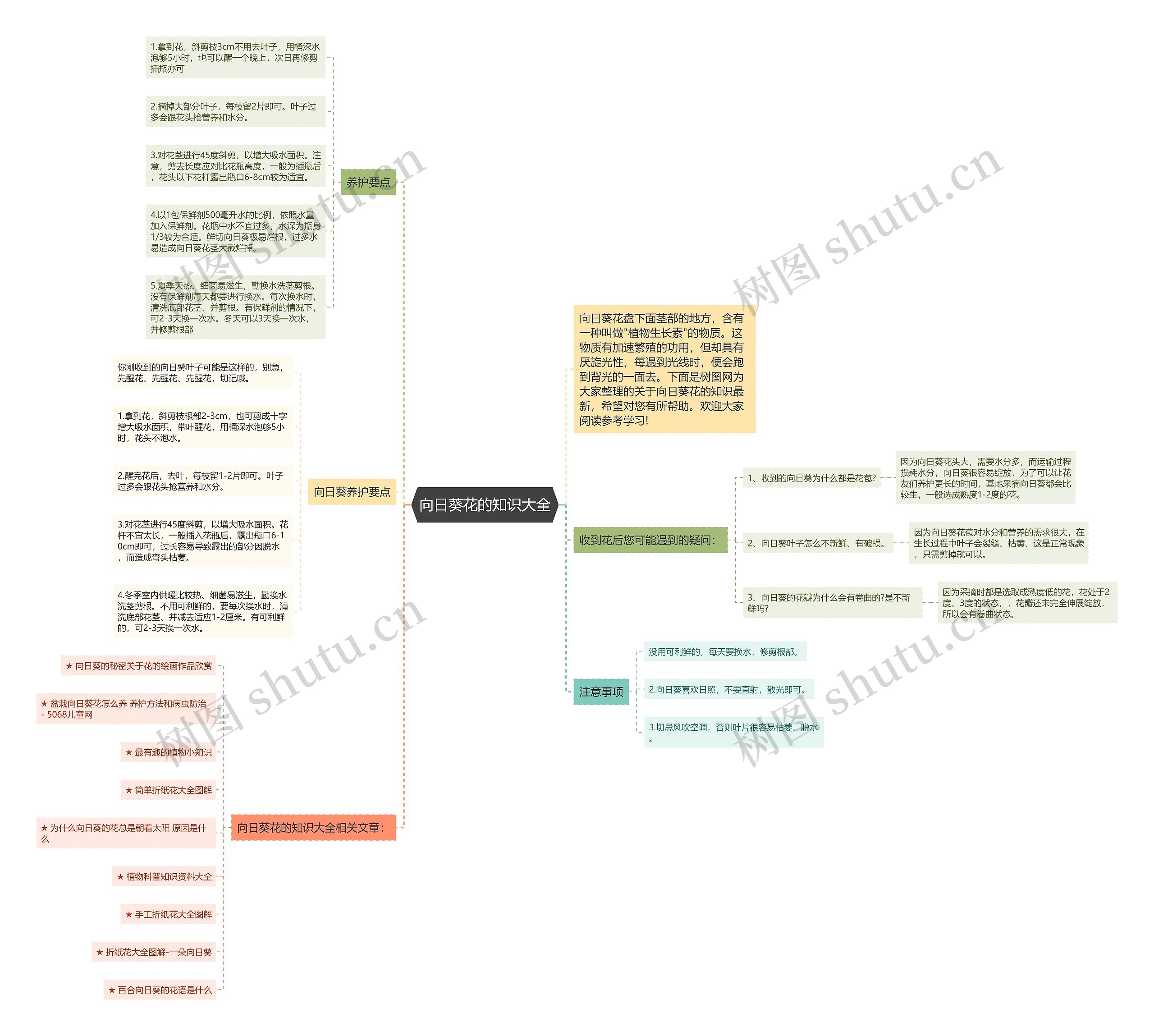 向日葵花的知识大全思维导图