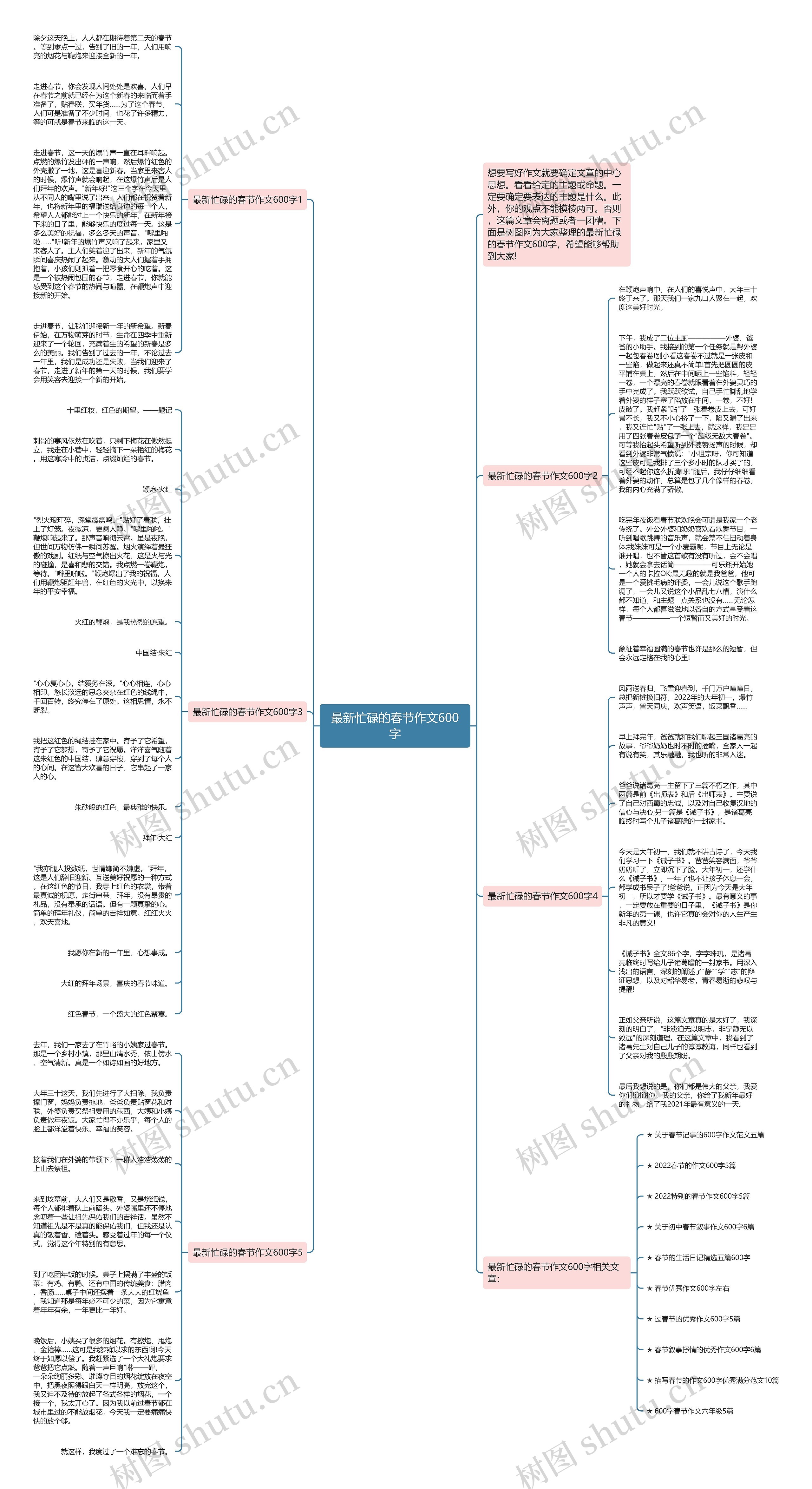 最新忙碌的春节作文600字思维导图