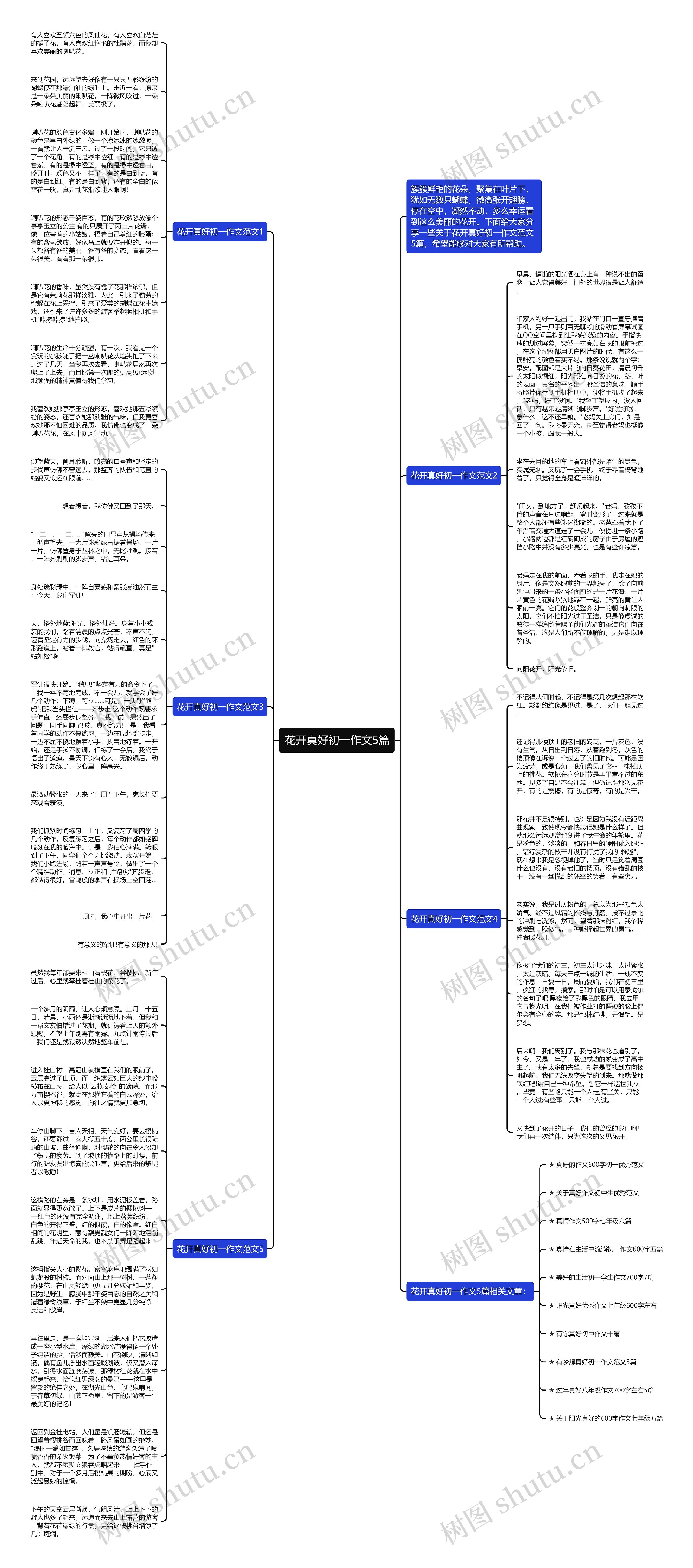 花开真好初一作文5篇思维导图