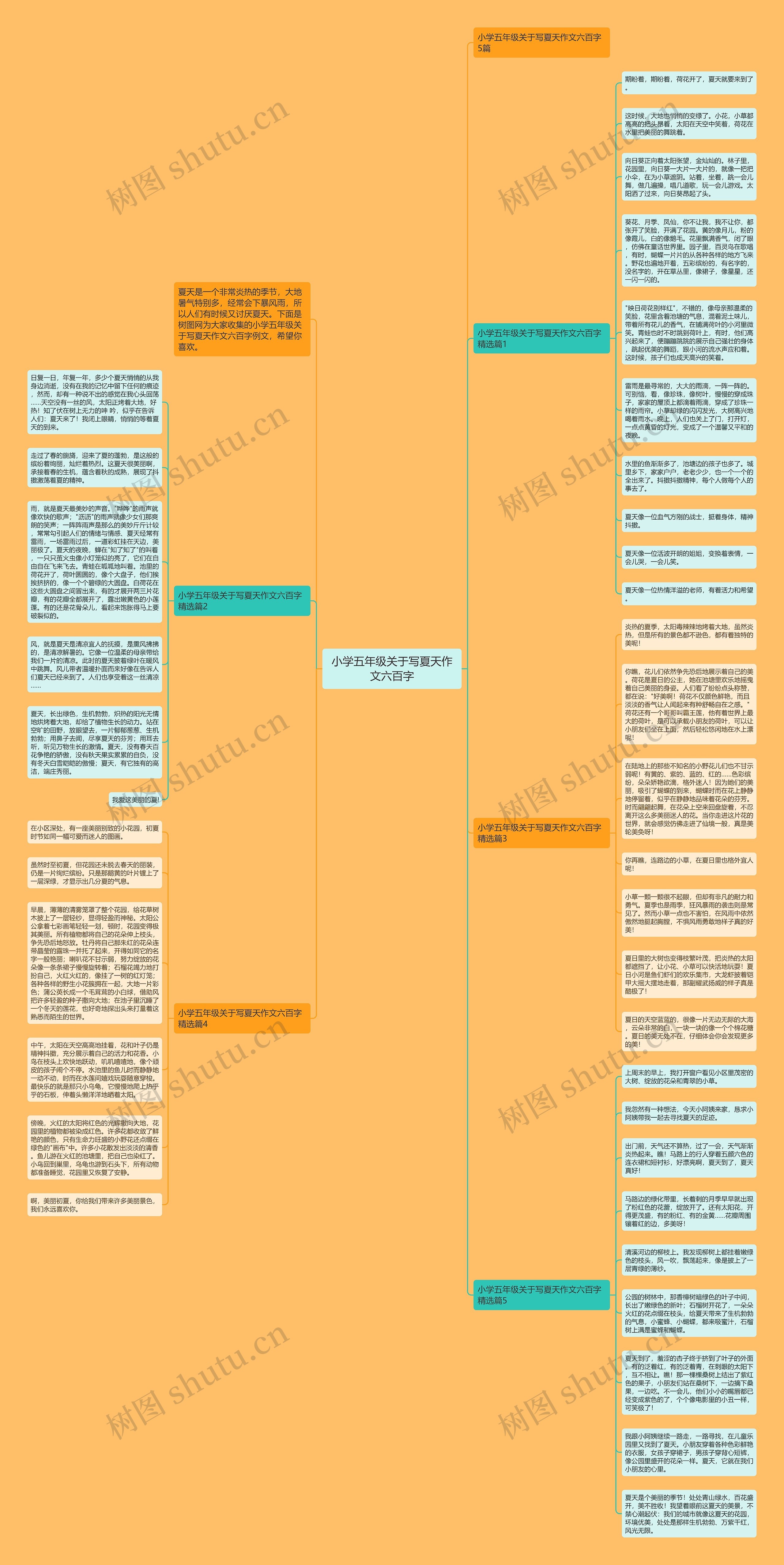 小学五年级关于写夏天作文六百字思维导图