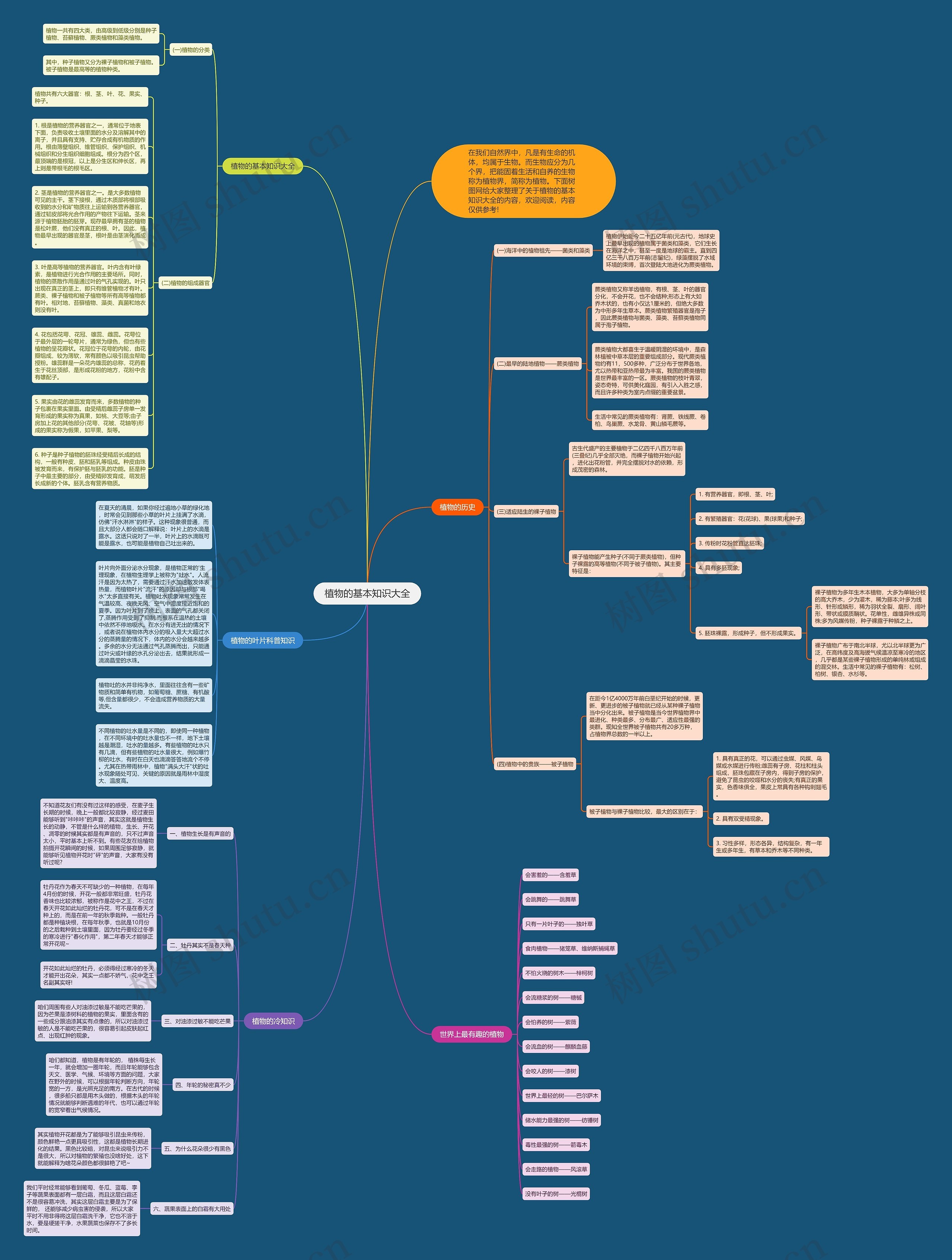 植物的基本知识大全思维导图