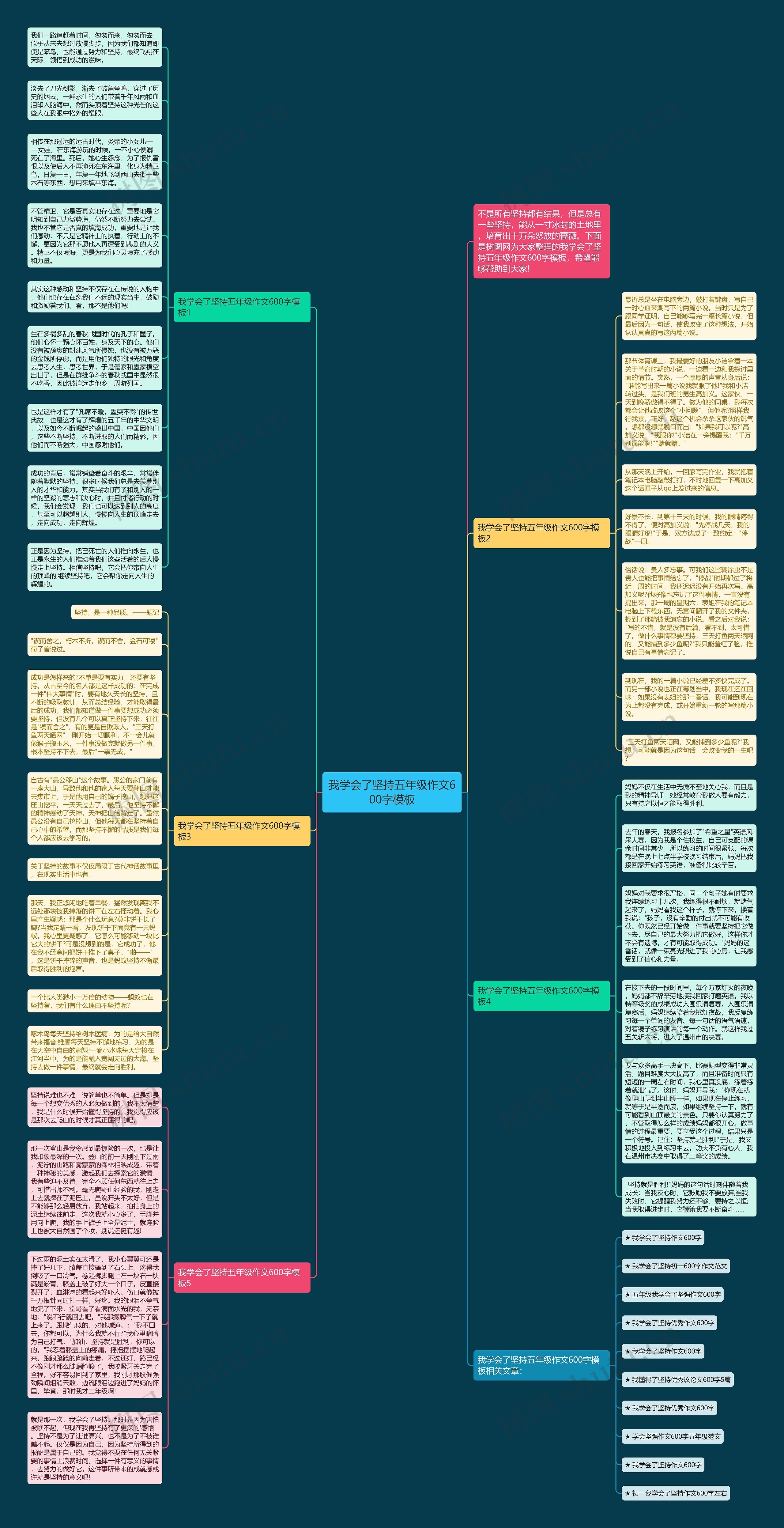 我学会了坚持五年级作文600字思维导图