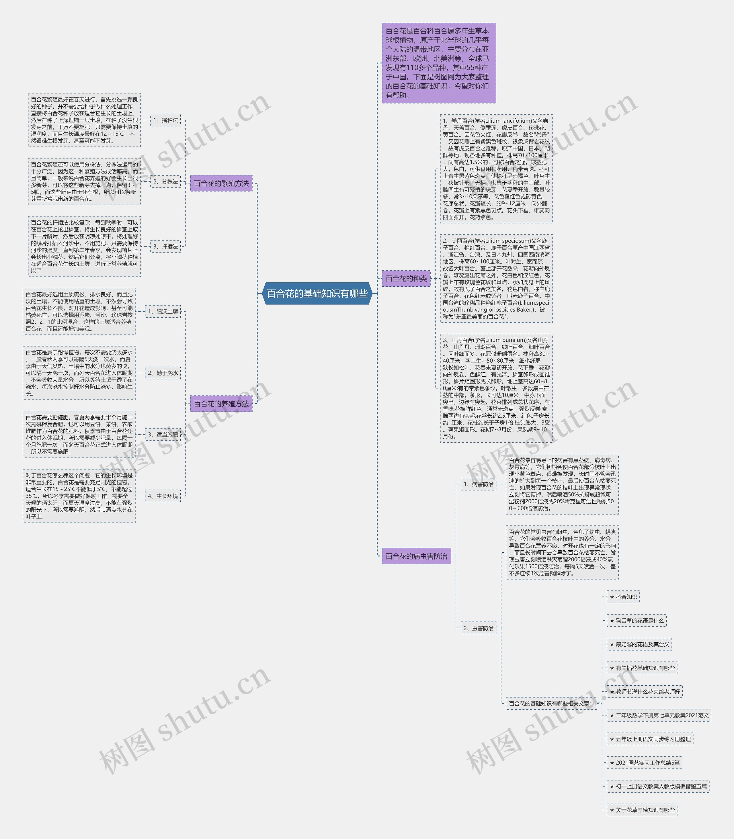 百合花的基础知识有哪些思维导图
