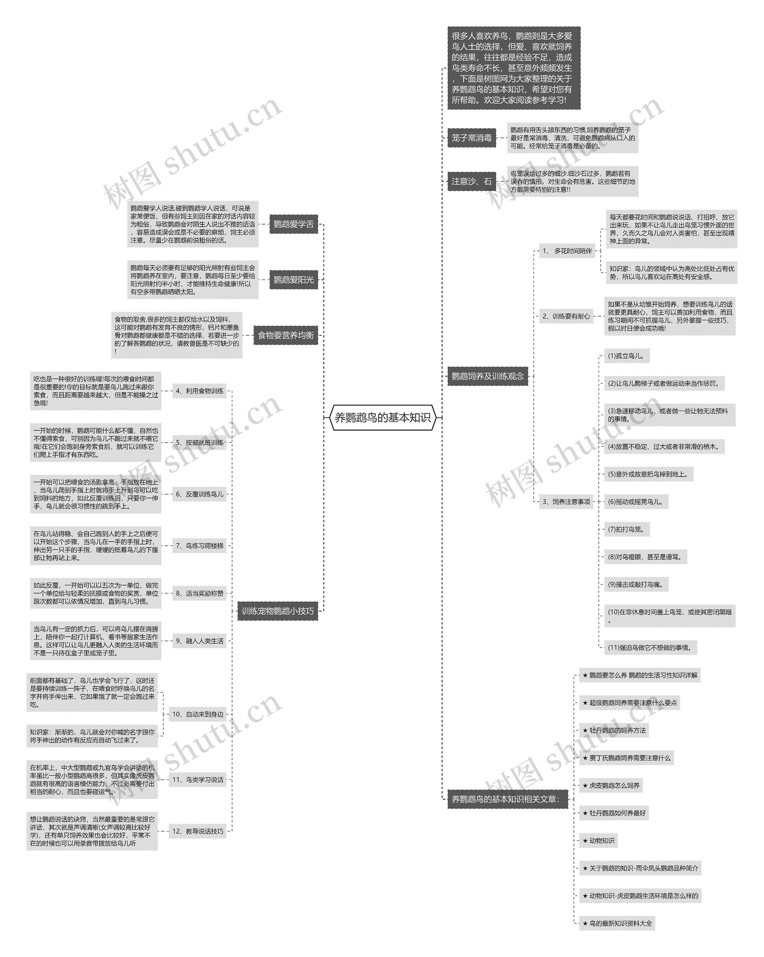 养鹦鹉鸟的基本知识思维导图