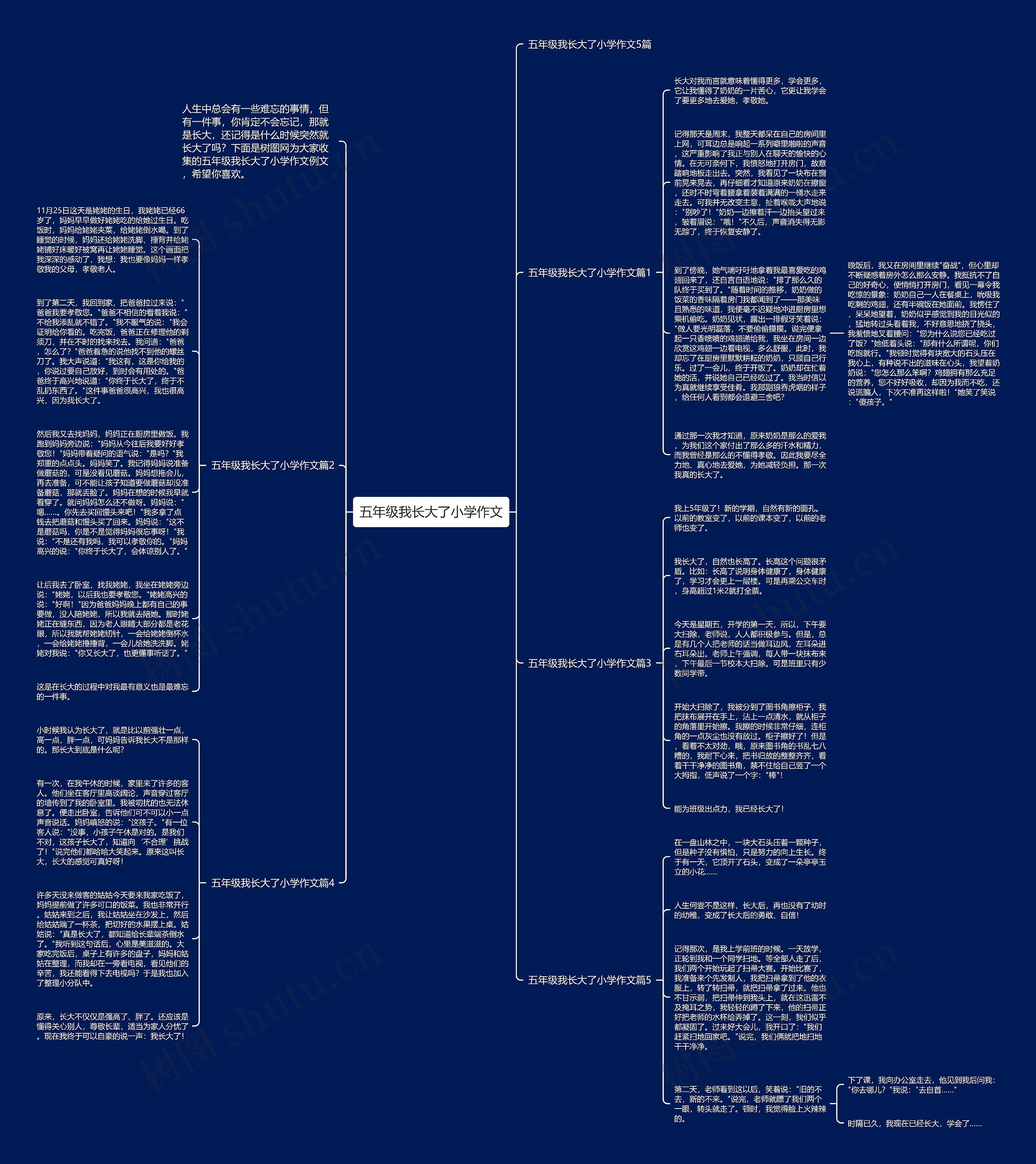 五年级我长大了小学作文思维导图