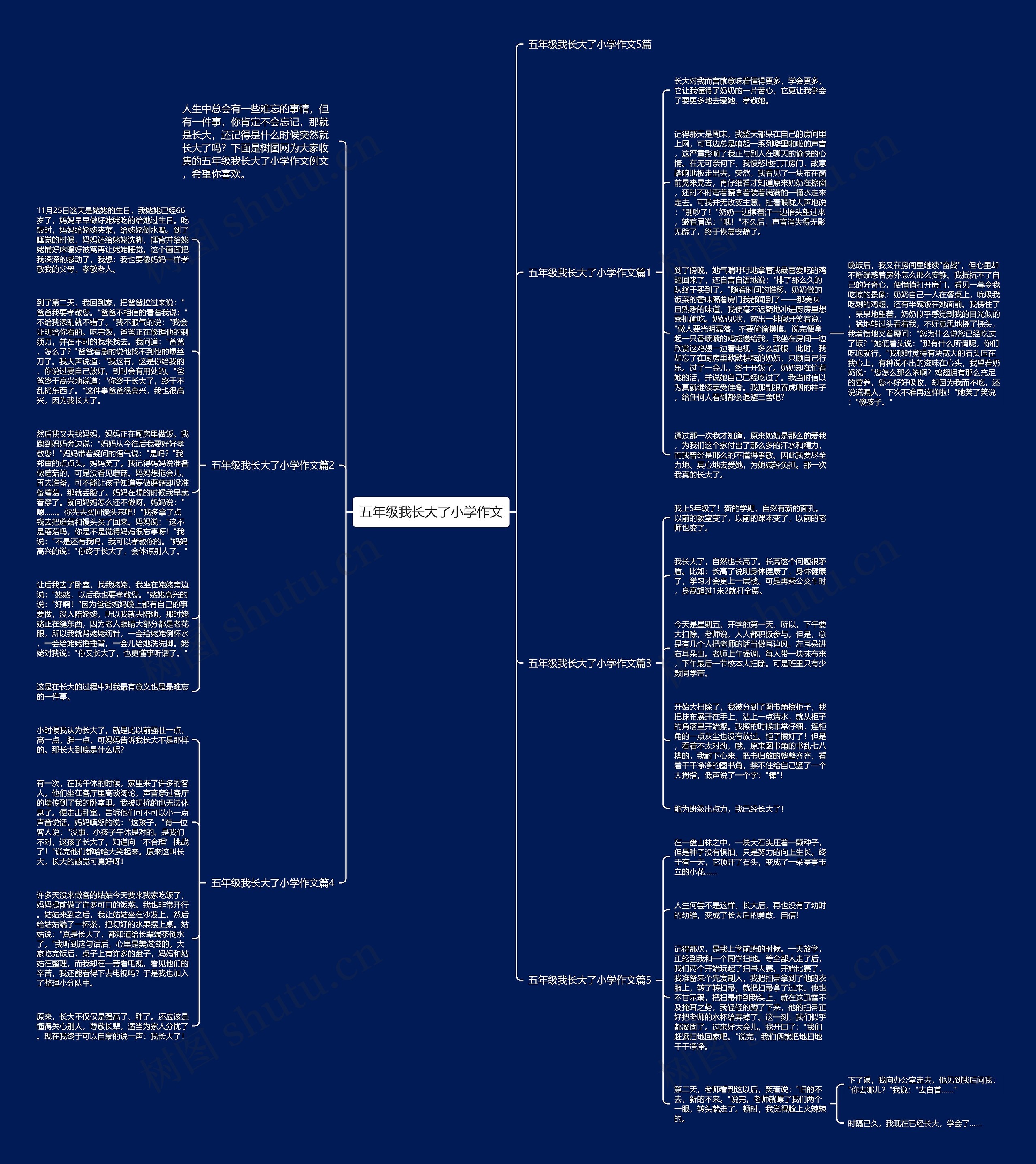 五年级我长大了小学作文思维导图高清图 五年级我长大了小学作文思维导图