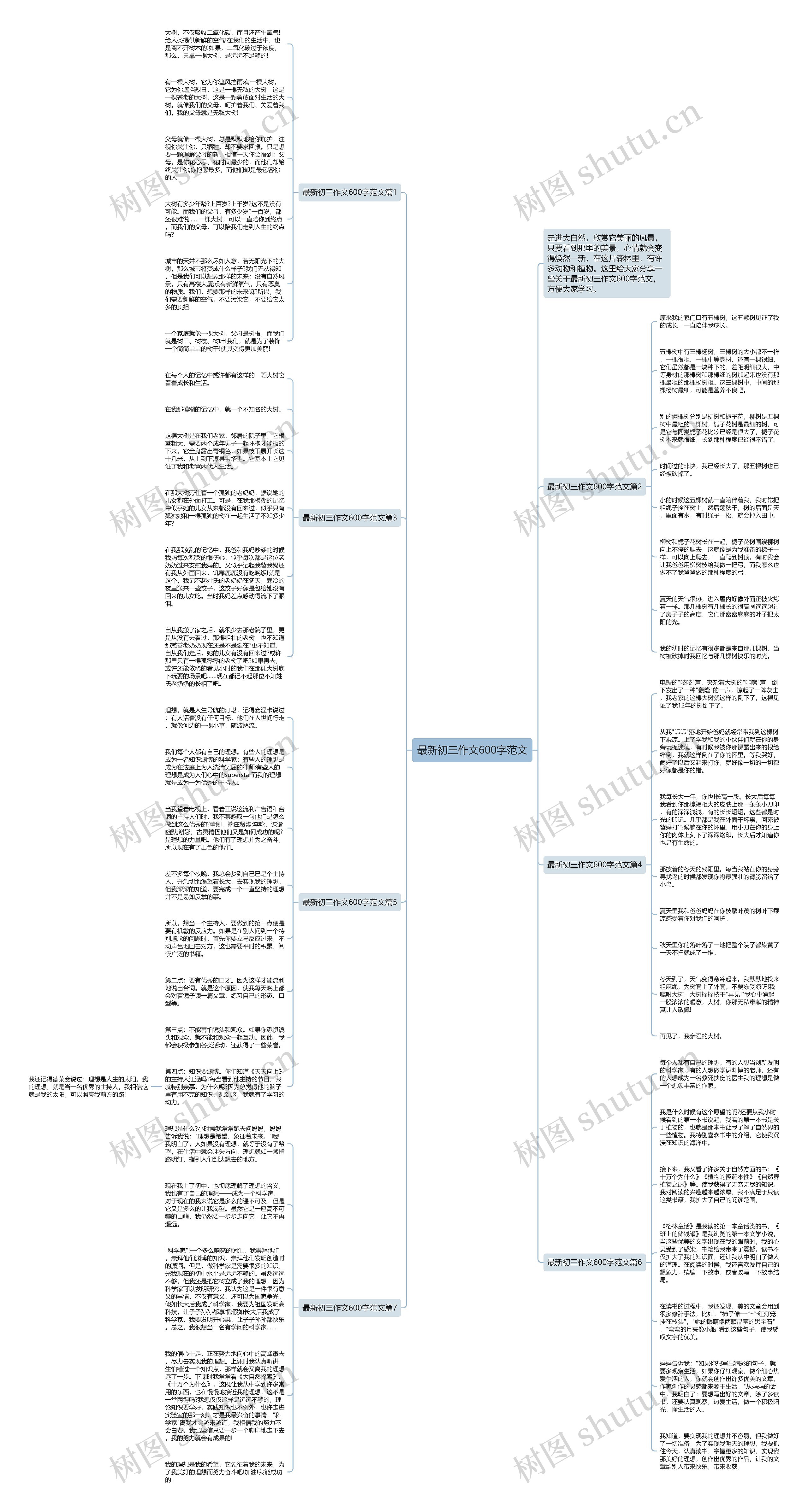 最新初三作文600字范文思维导图