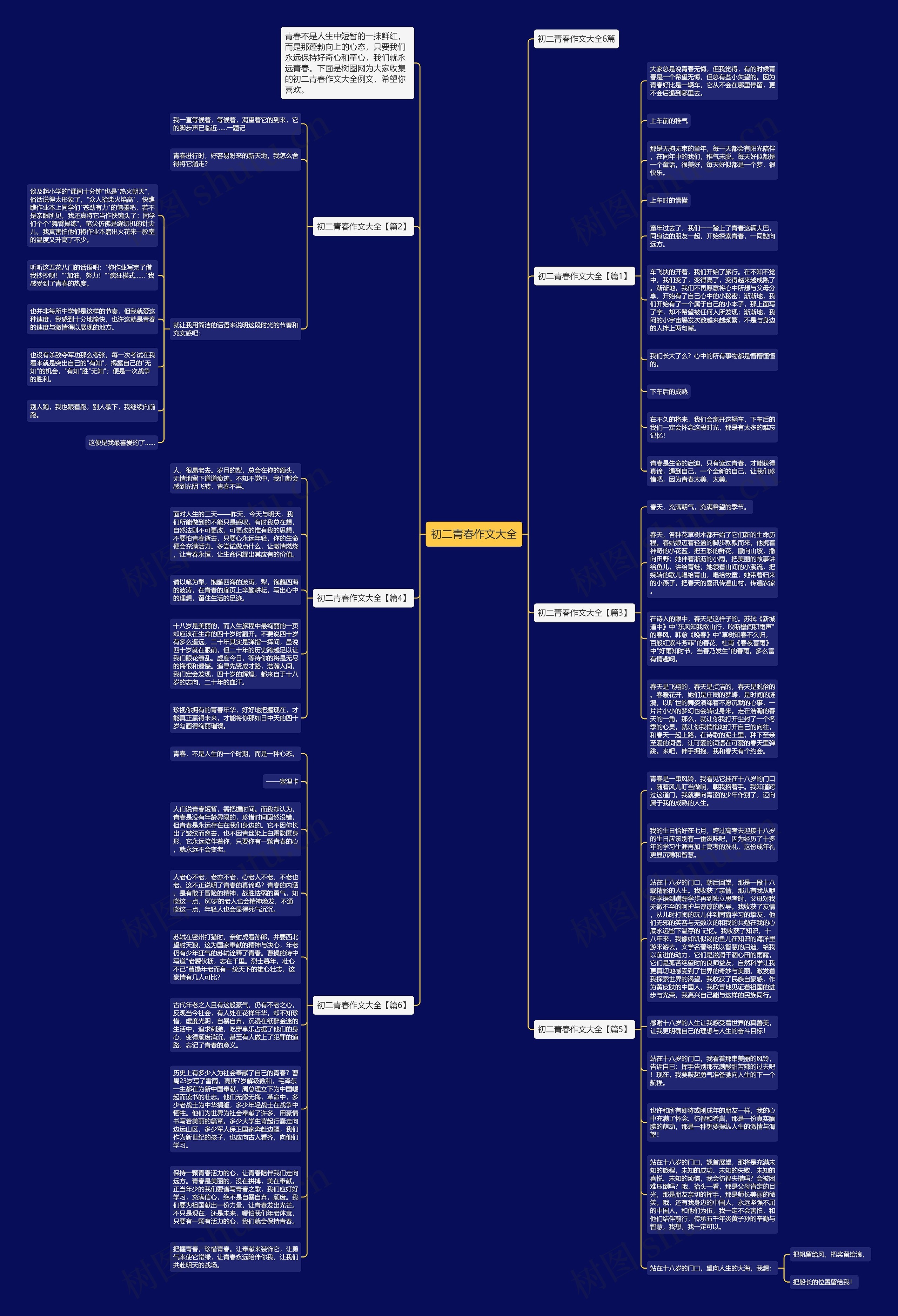 初二青春作文大全思维导图