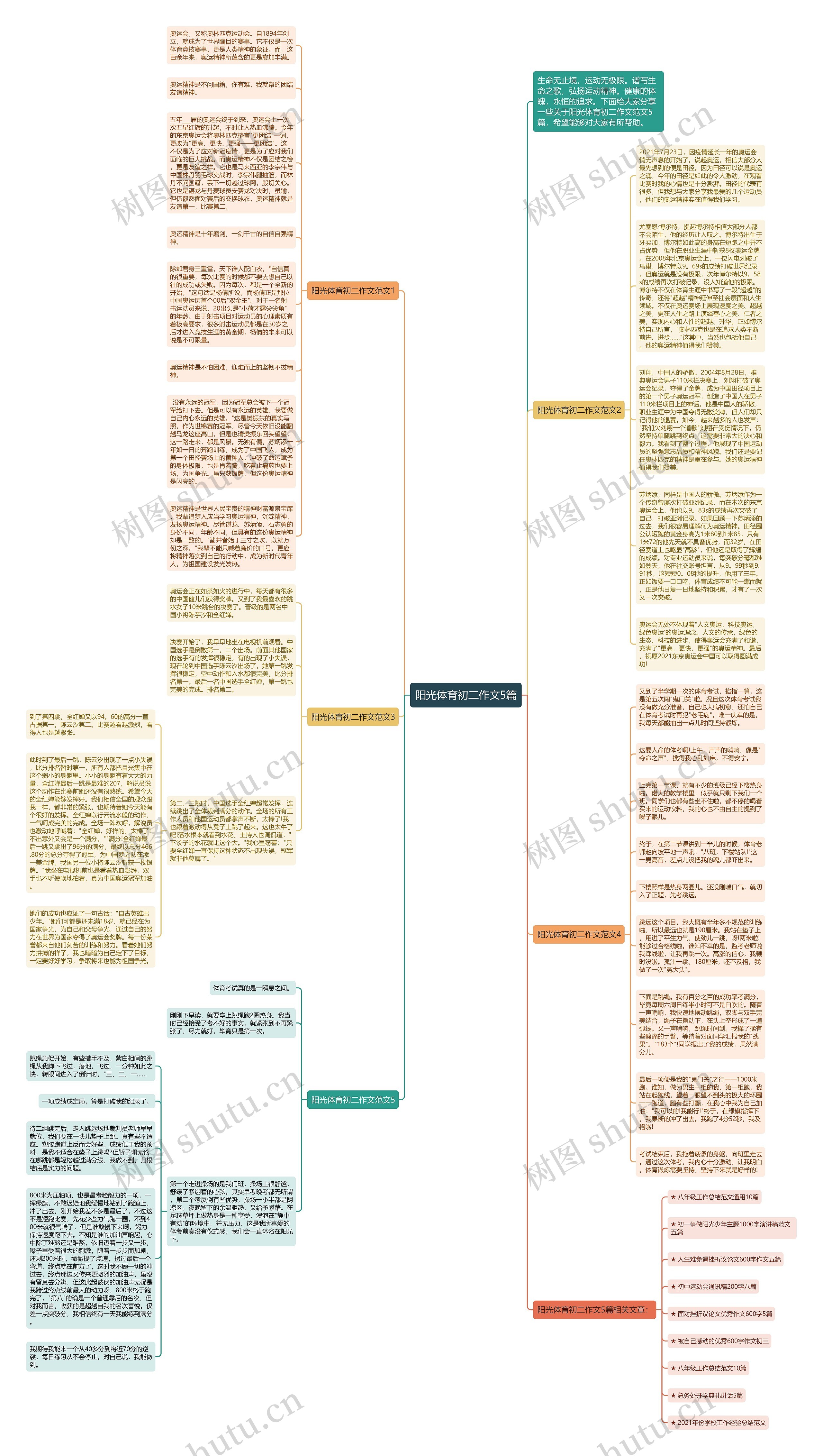 阳光体育初二作文5篇思维导图