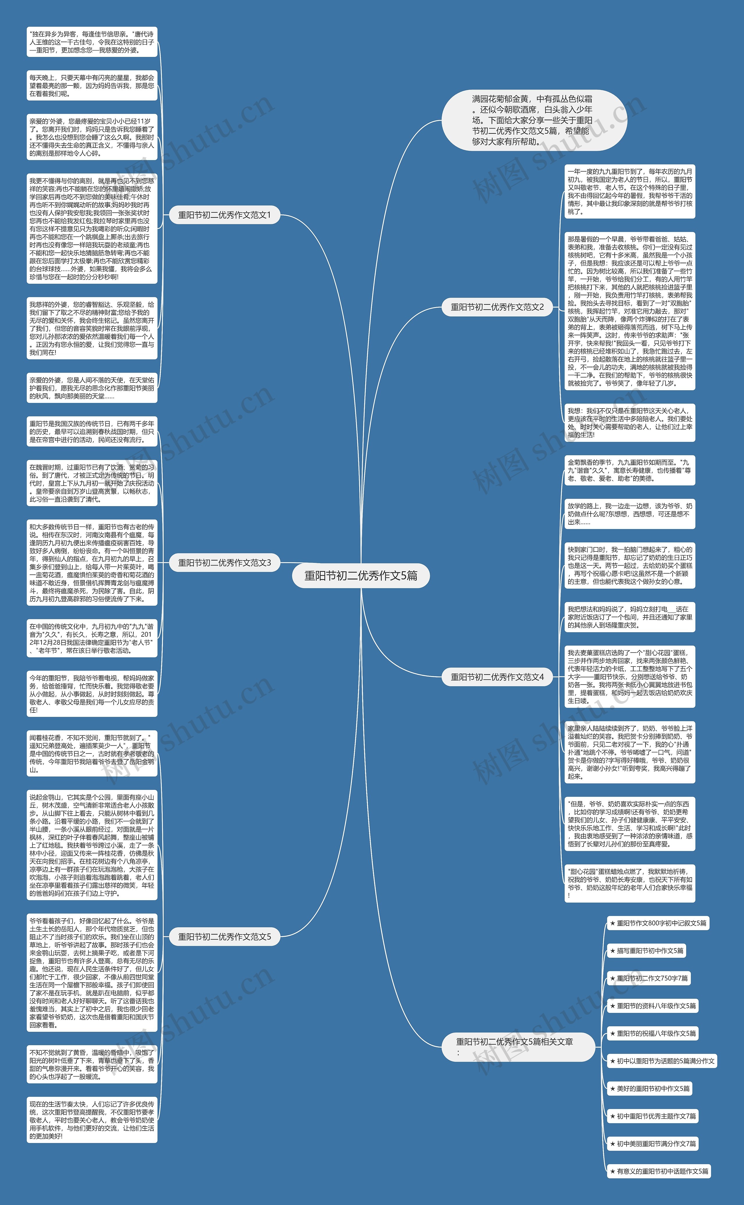 重阳节初二优秀作文5篇思维导图