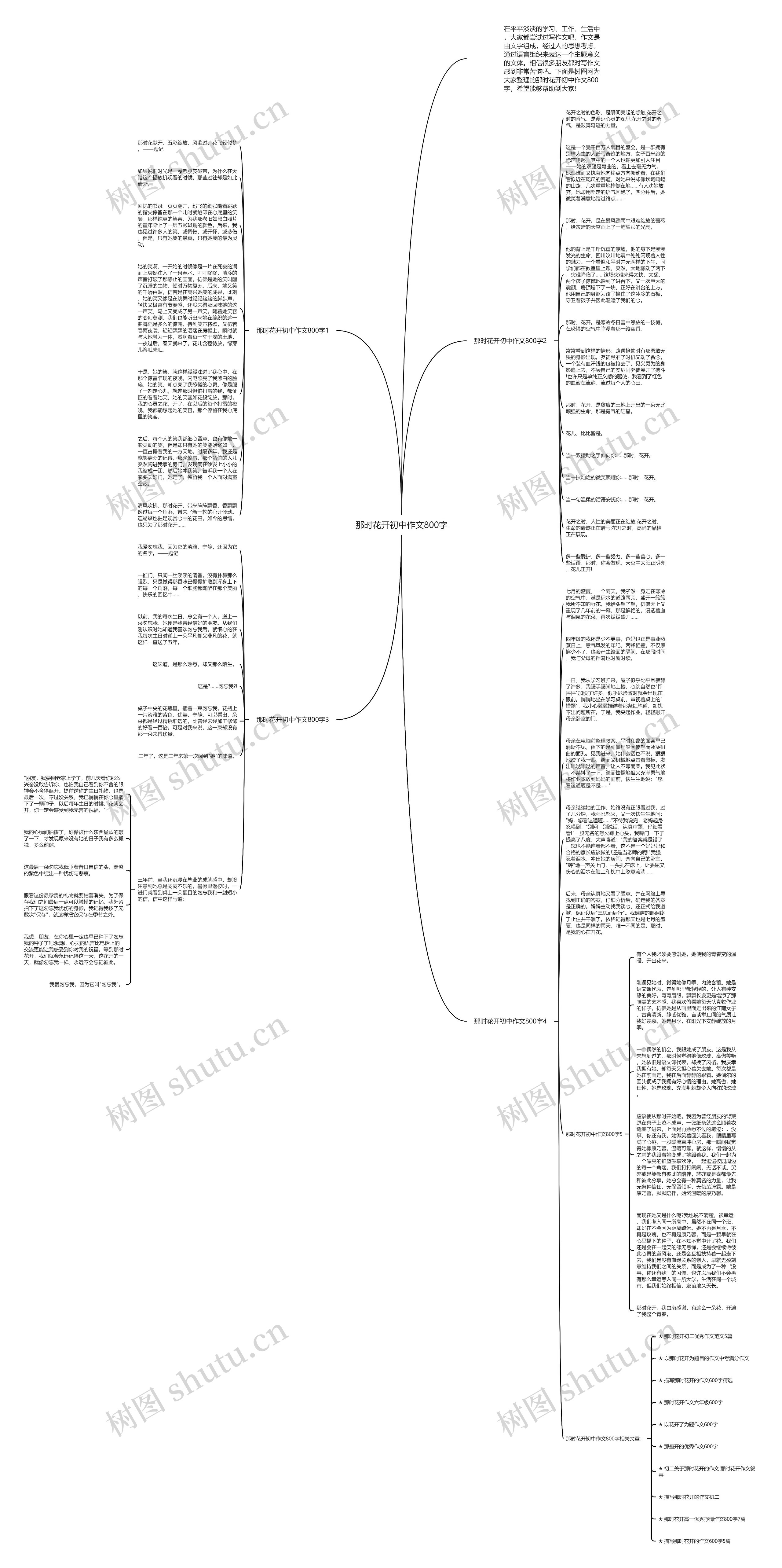 那时花开初中作文800字思维导图