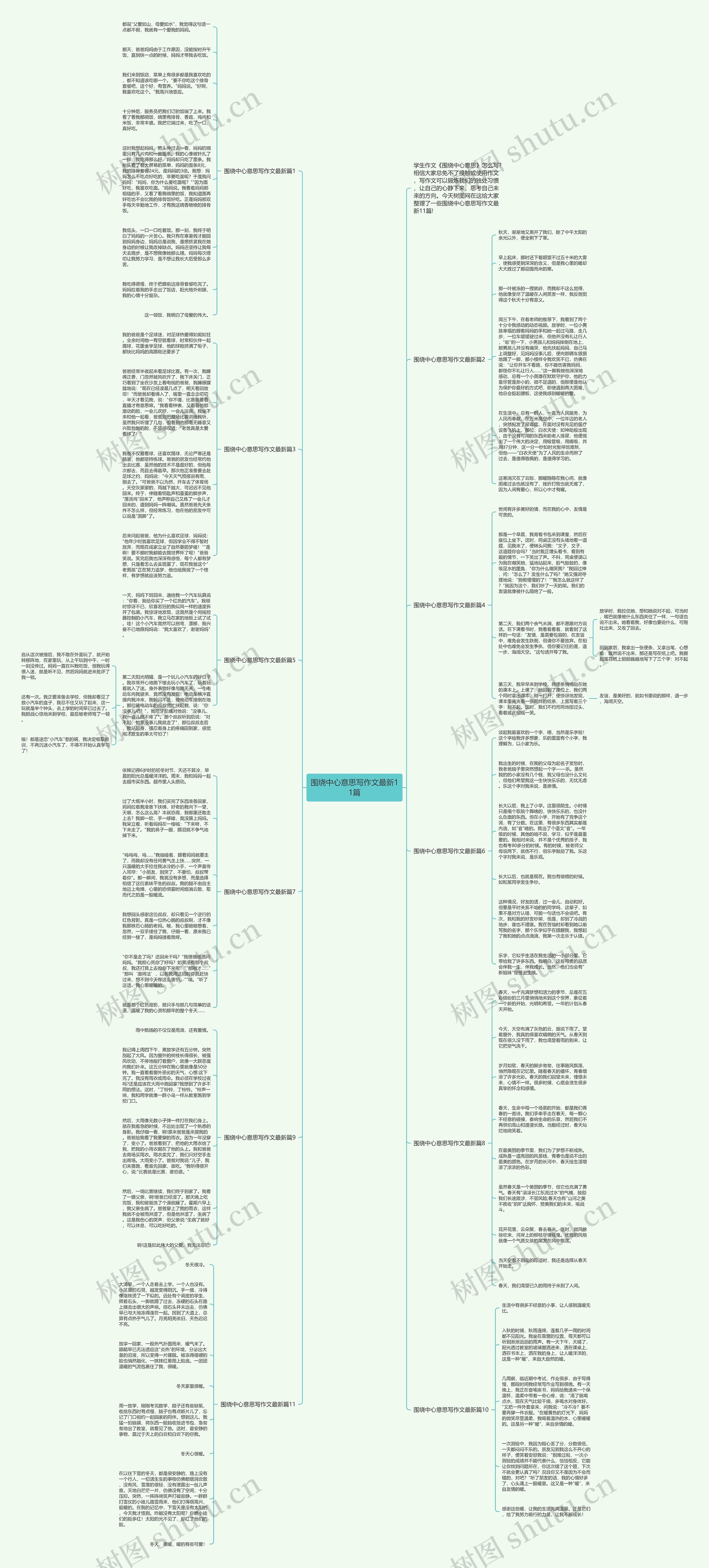 围绕中心意思写作文最新11篇思维导图