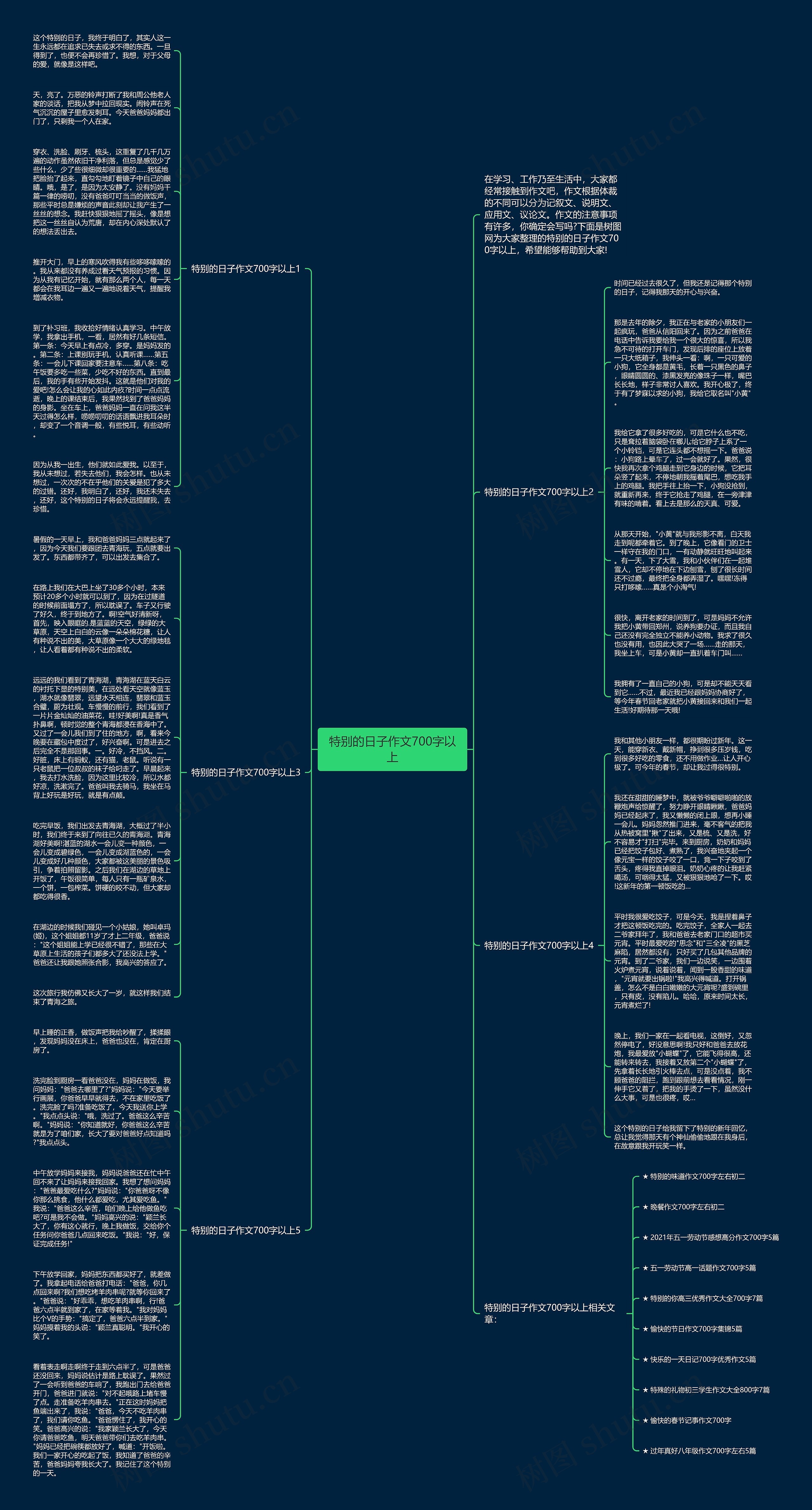 特别的日子作文700字以上思维导图